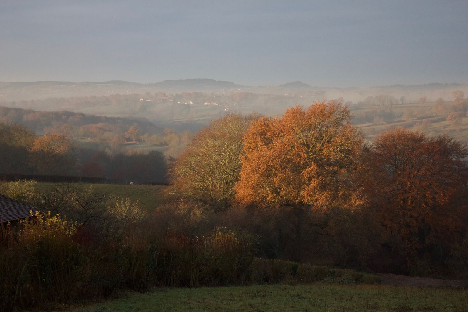 Canon EOS 550D (EOS Rebel T2i / EOS Kiss X4) sample photo. Field, france, landscape photography