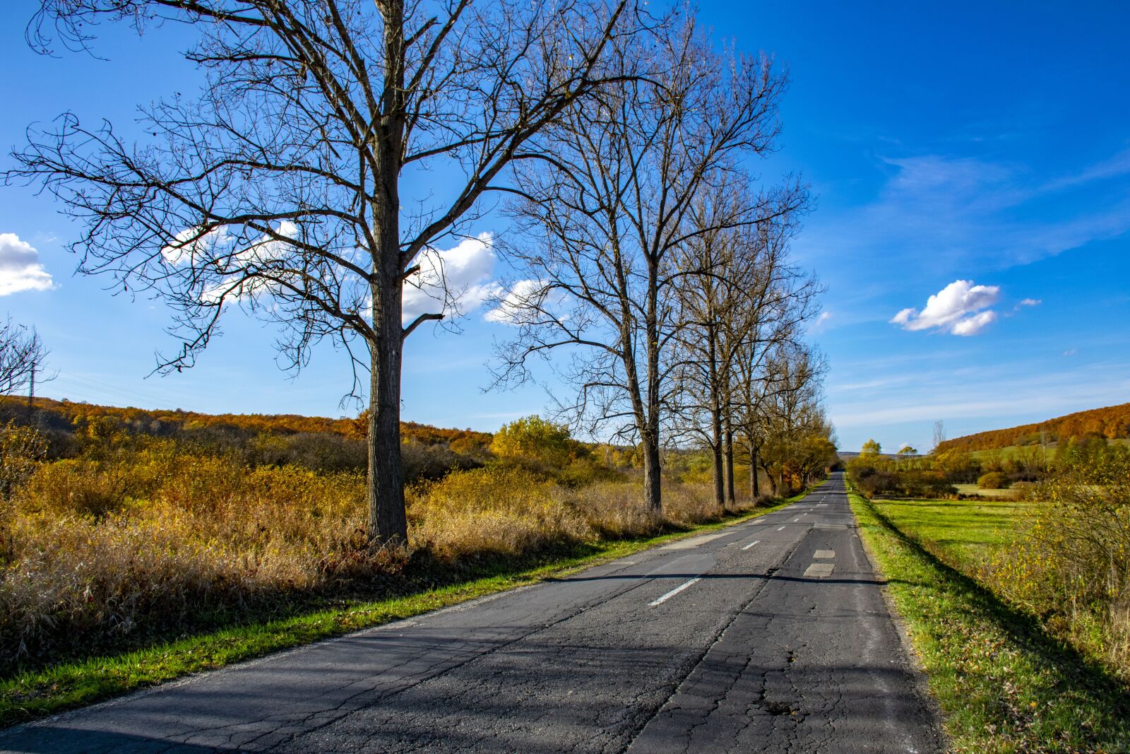 Nikon D5300 sample photo. Hungary, trizs, nature photography