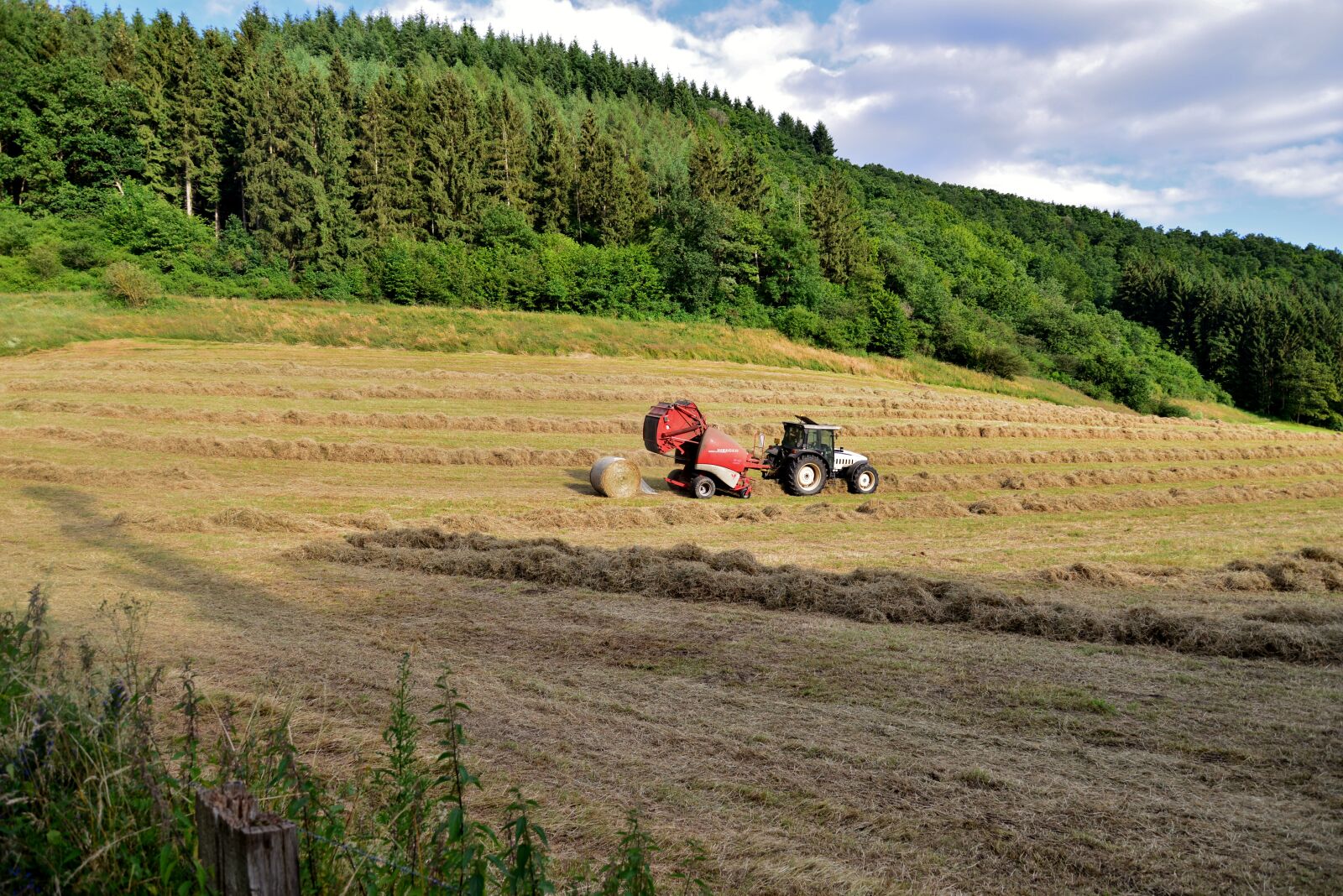Nikon D600 sample photo. Baled hay balers, agriculture photography