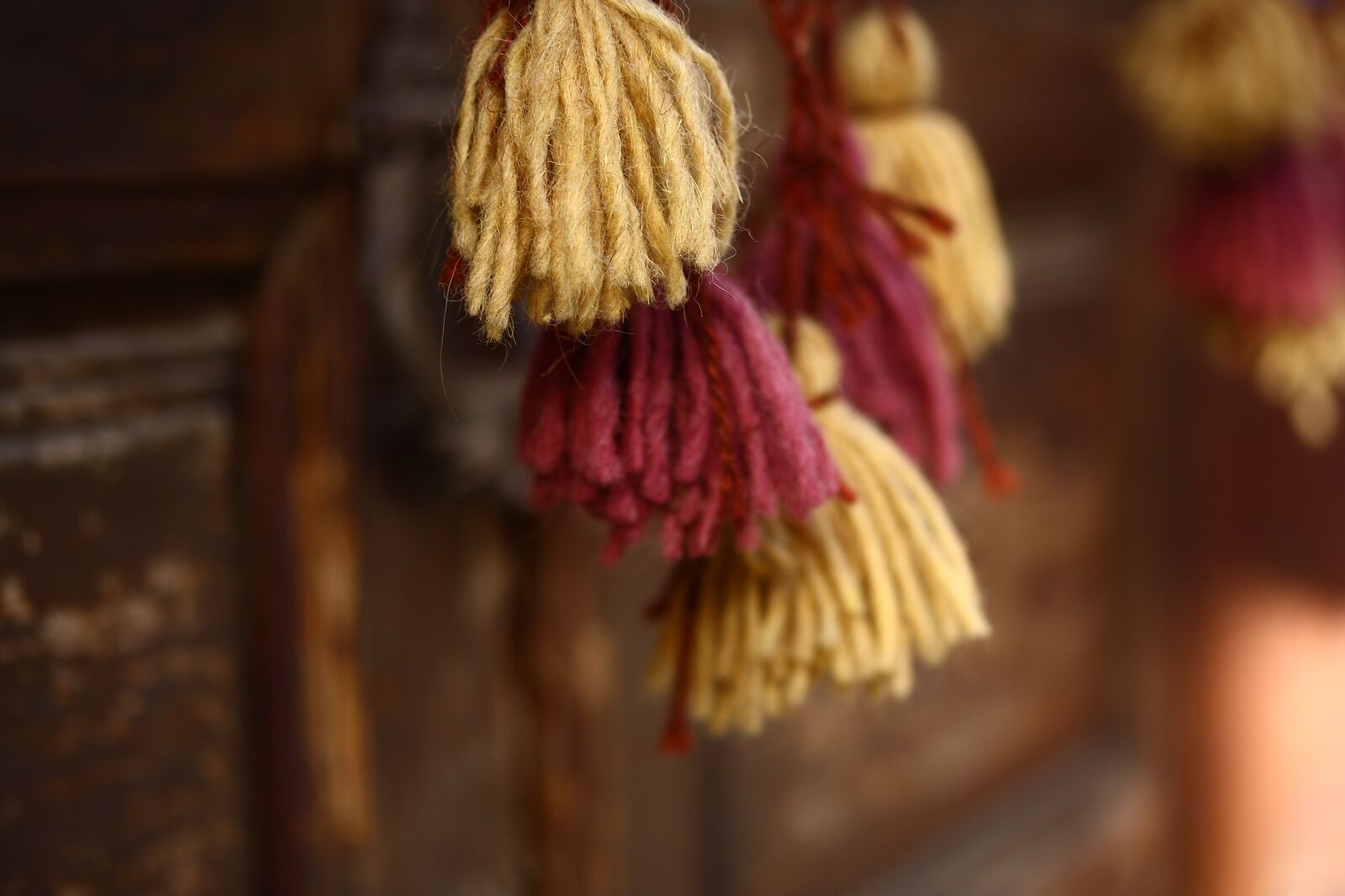 Canon EOS 40D sample photo. Ornament, fabric, tassel photography