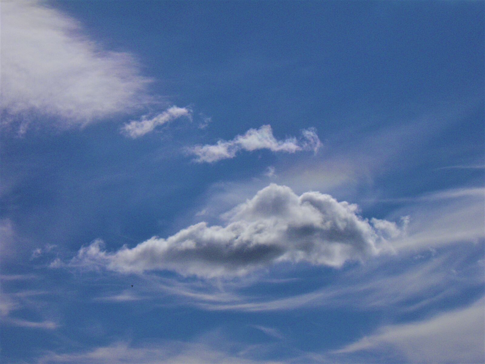 Olympus SP800UZ sample photo. Cloud, sky, blue photography