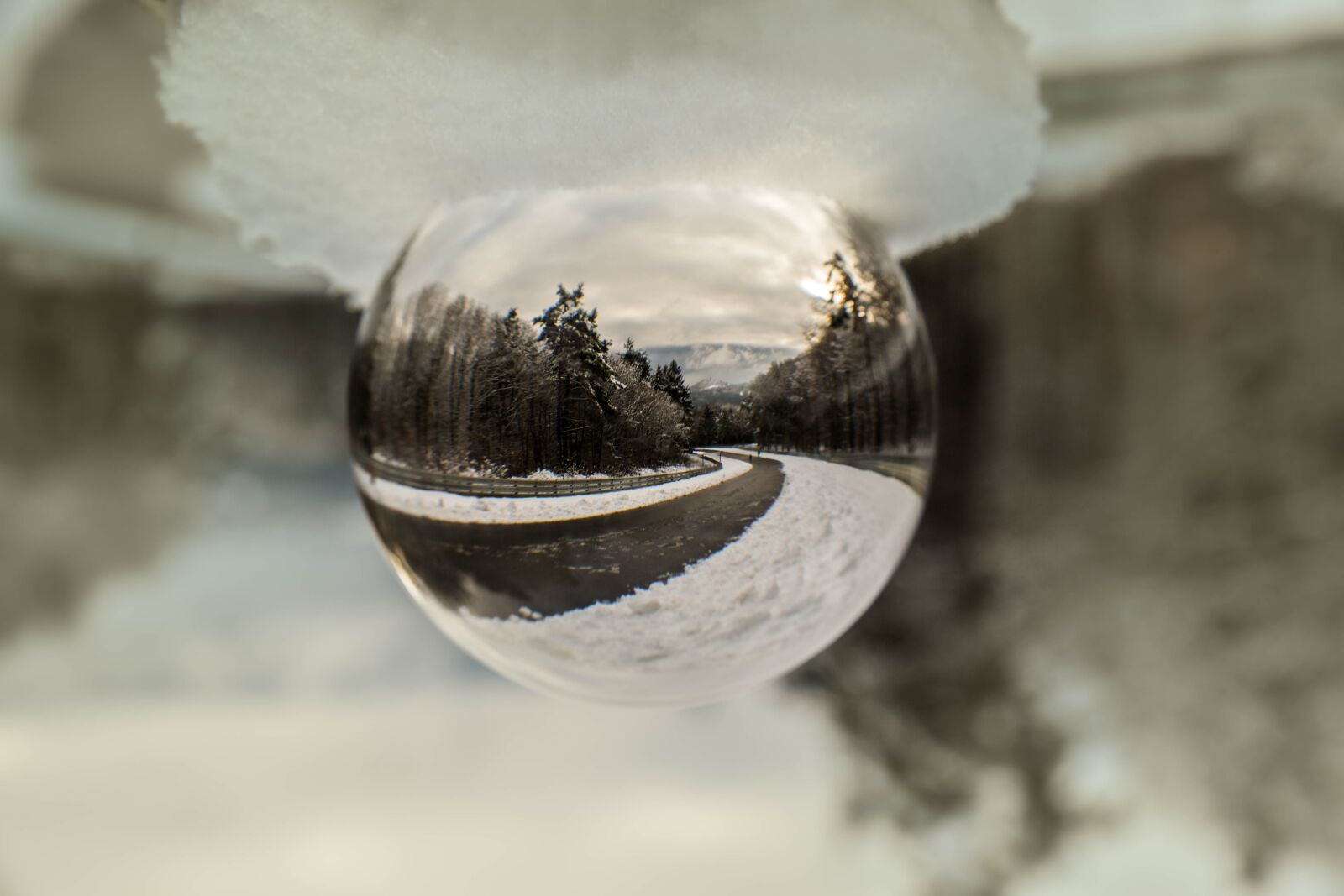 Canon EOS 5D Mark III sample photo. Nature, still life, reflection photography