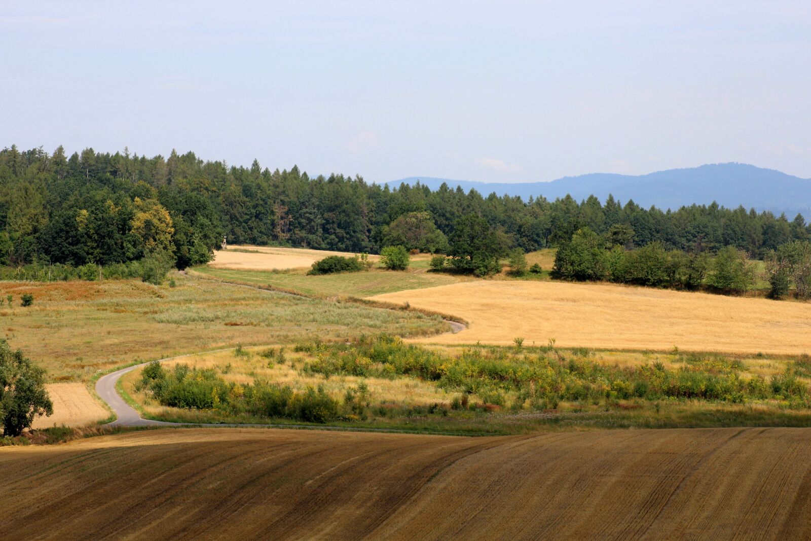 Canon EOS 1200D (EOS Rebel T5 / EOS Kiss X70 / EOS Hi) sample photo. Landscape, fields, summer photography