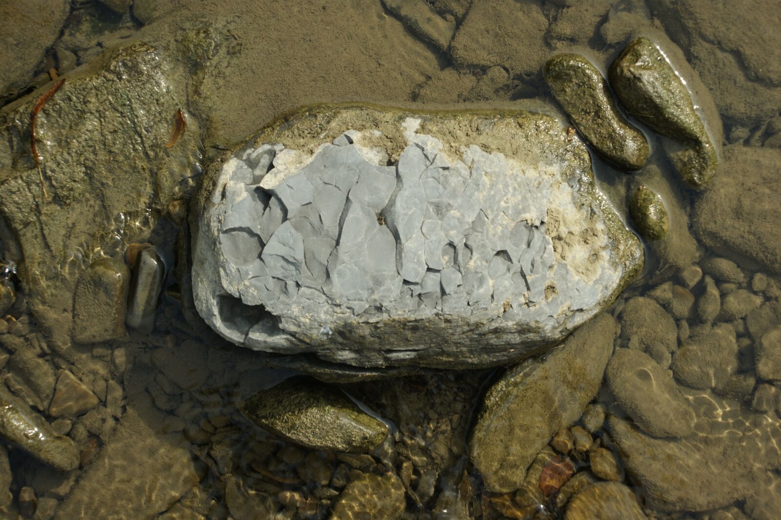 Sony Alpha DSLR-A290 sample photo. Stones, shales, shungite photography