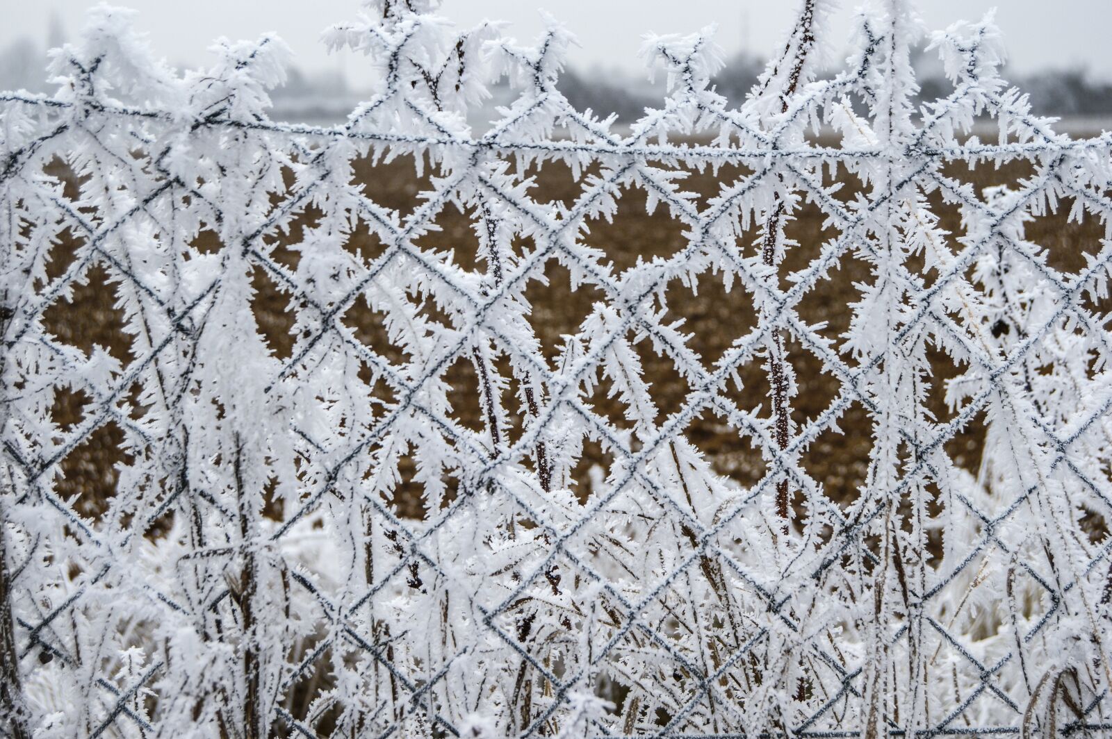 Nikon D3200 sample photo. Gel, closing, winter photography