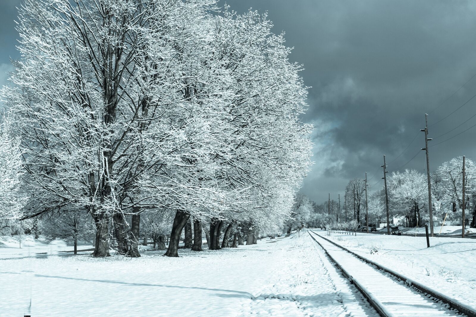 Nikon D750 sample photo. Snow, winter, frost photography