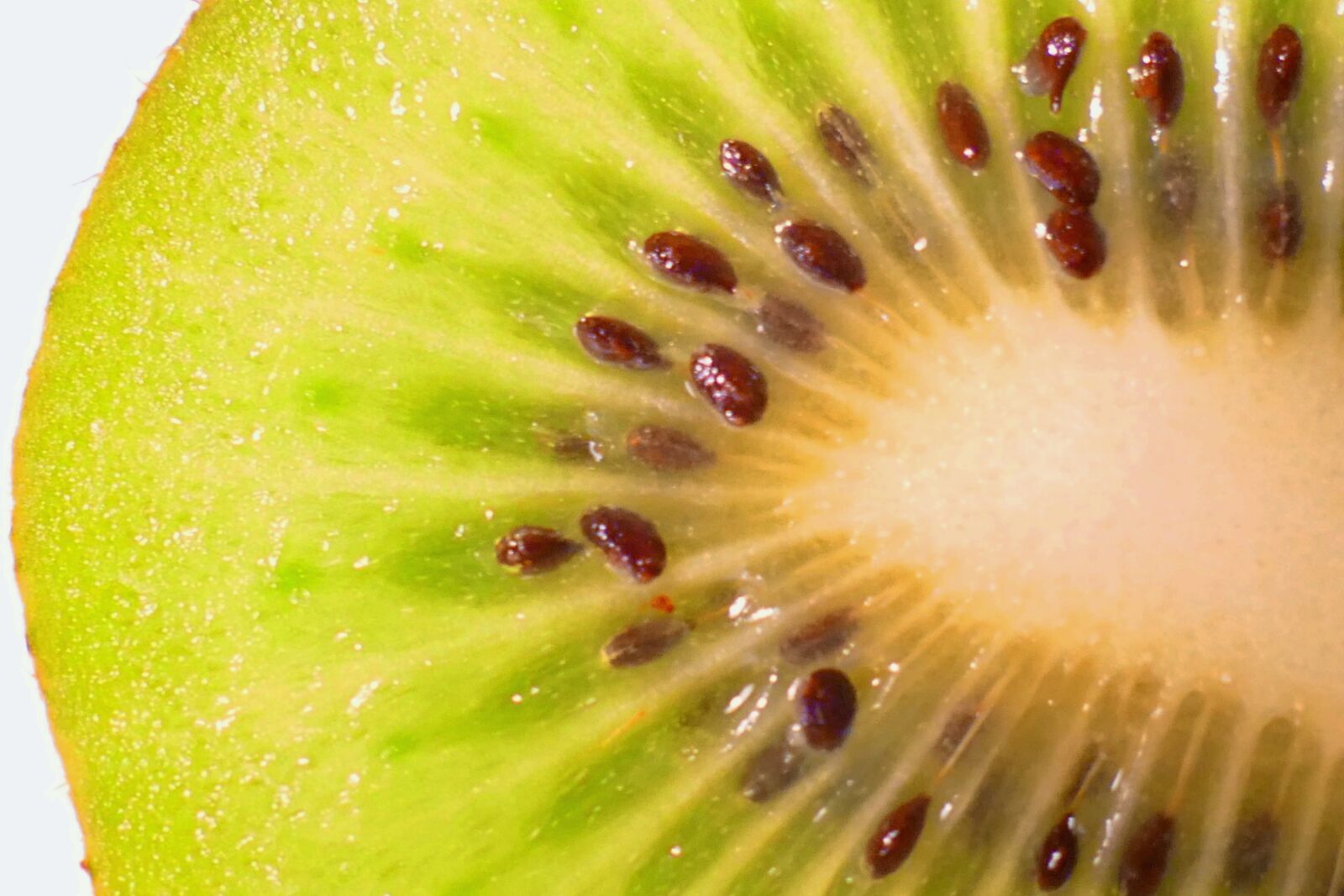 Panasonic Lumix DMC-FZ1000 sample photo. Kiwi, fruit, fruits photography