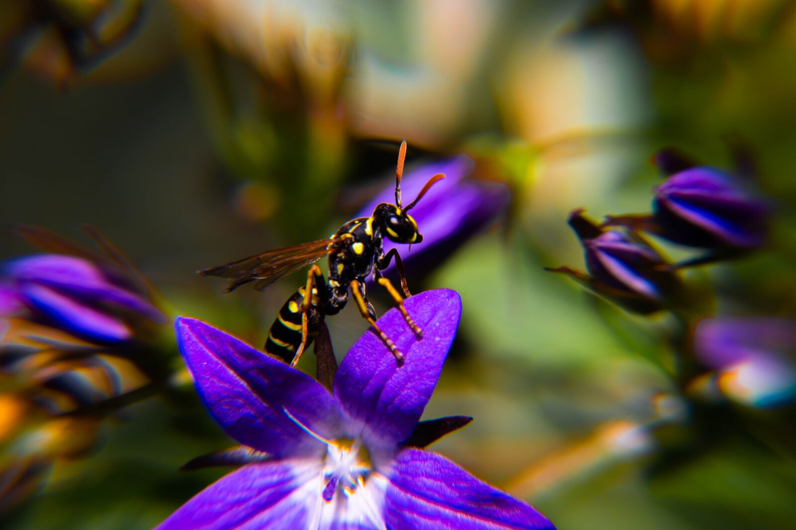 Nikon D850 sample photo. Spring, pollen, yellow photography
