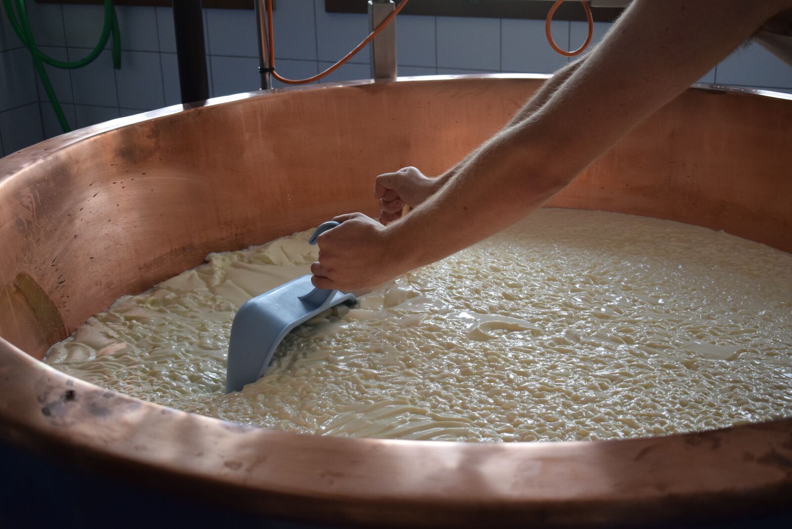 Nikon D5300 sample photo. Cheese, manufacturing, milk photography