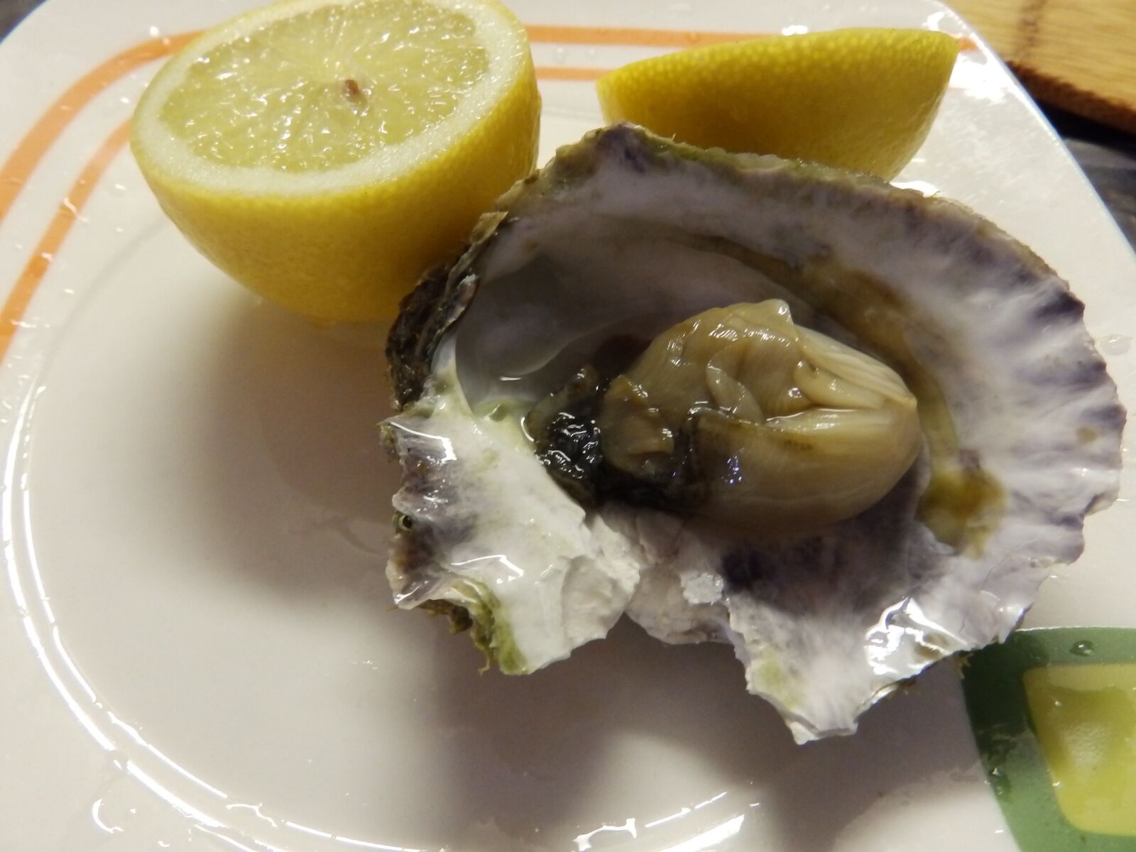 Olympus SP-820UZ sample photo. Oyster, fruits, sea photography