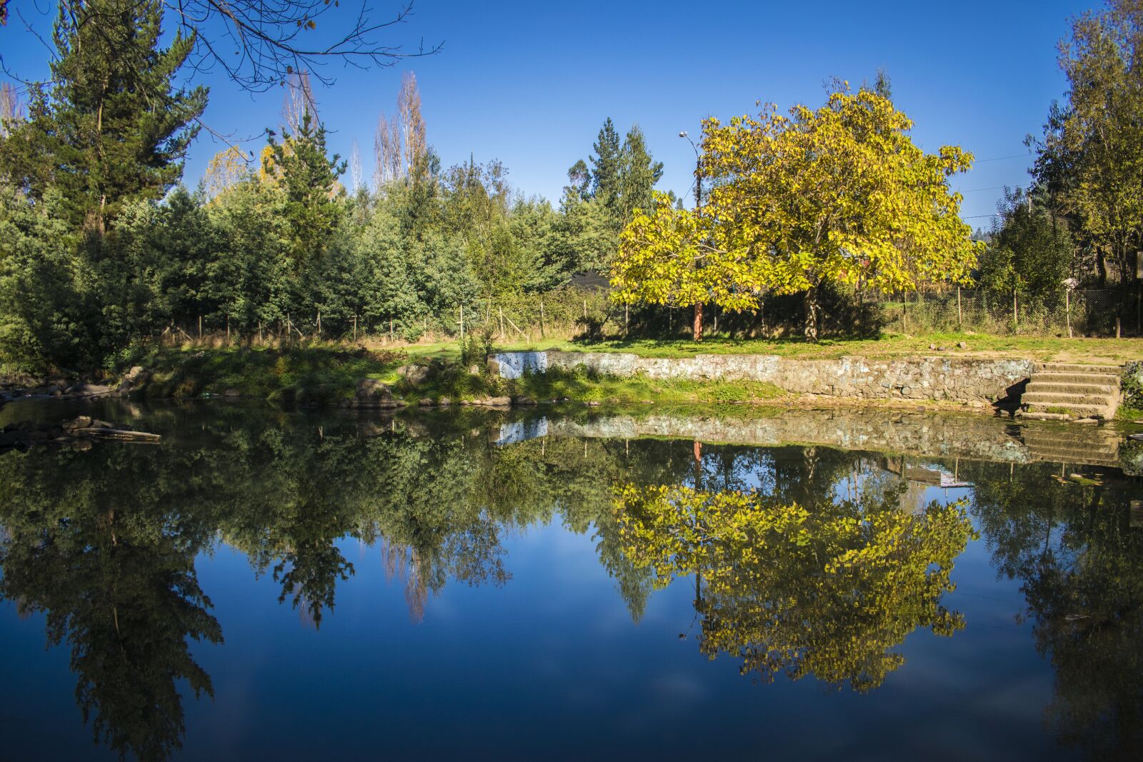 Nikon D5300 sample photo. Landscape, happiness, naturaleaz photography