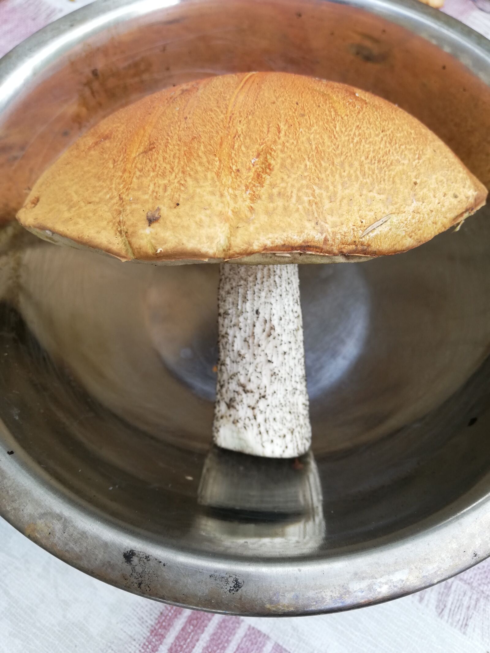 HUAWEI ANE-LX1 sample photo. Mushroom, brown, casserole photography