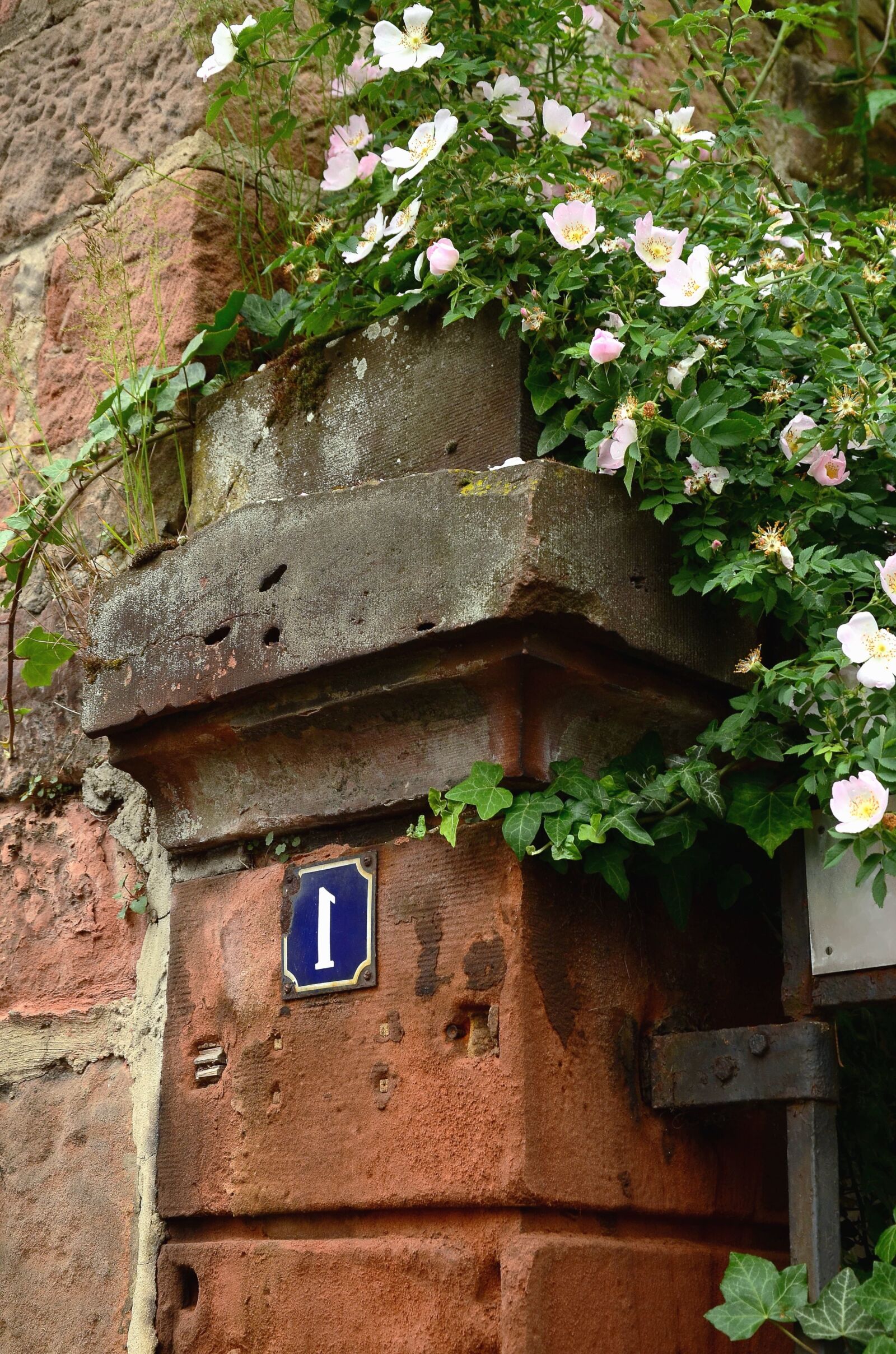 Nikon D5100 sample photo. Architecture, stone, number, flower photography