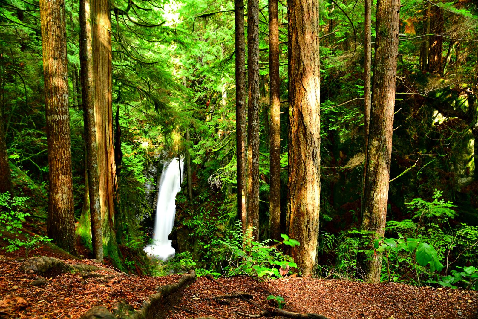 Nikon D7500 sample photo. Waterfalls, woods, forest photography