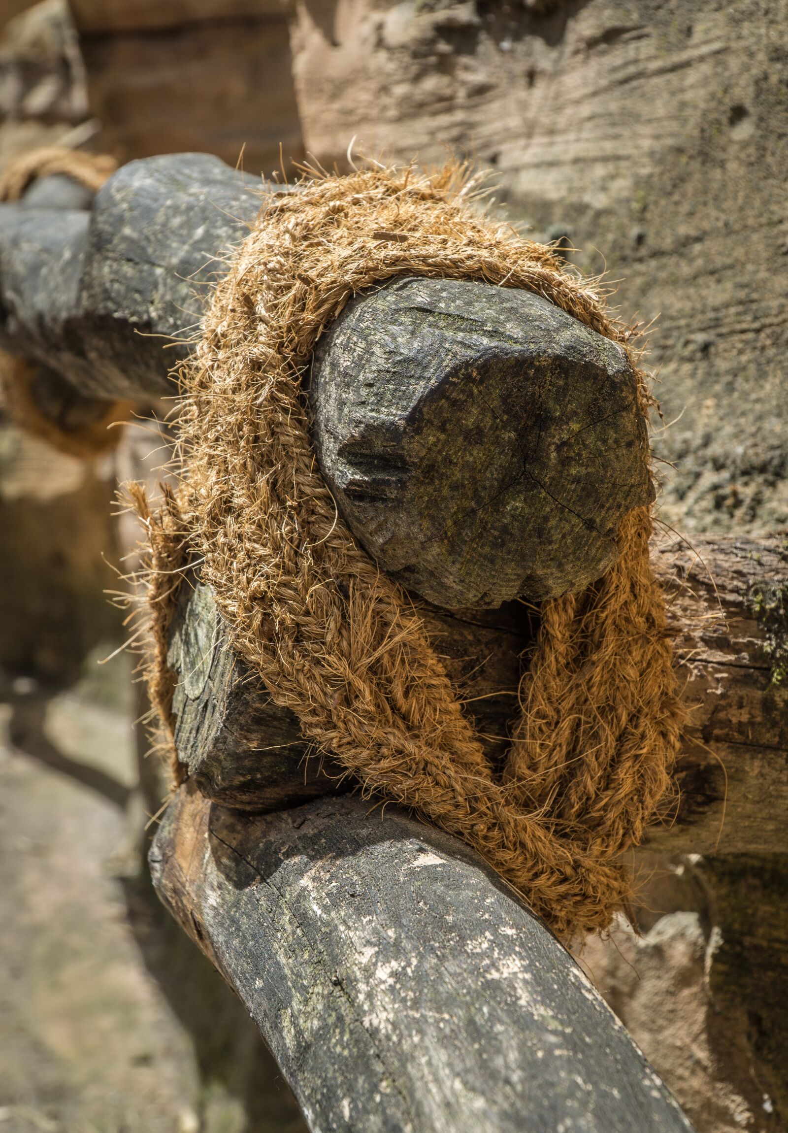 Sony a6000 + Sony E PZ 18-105mm F4 G OSS sample photo. Railing, rope, jungle photography