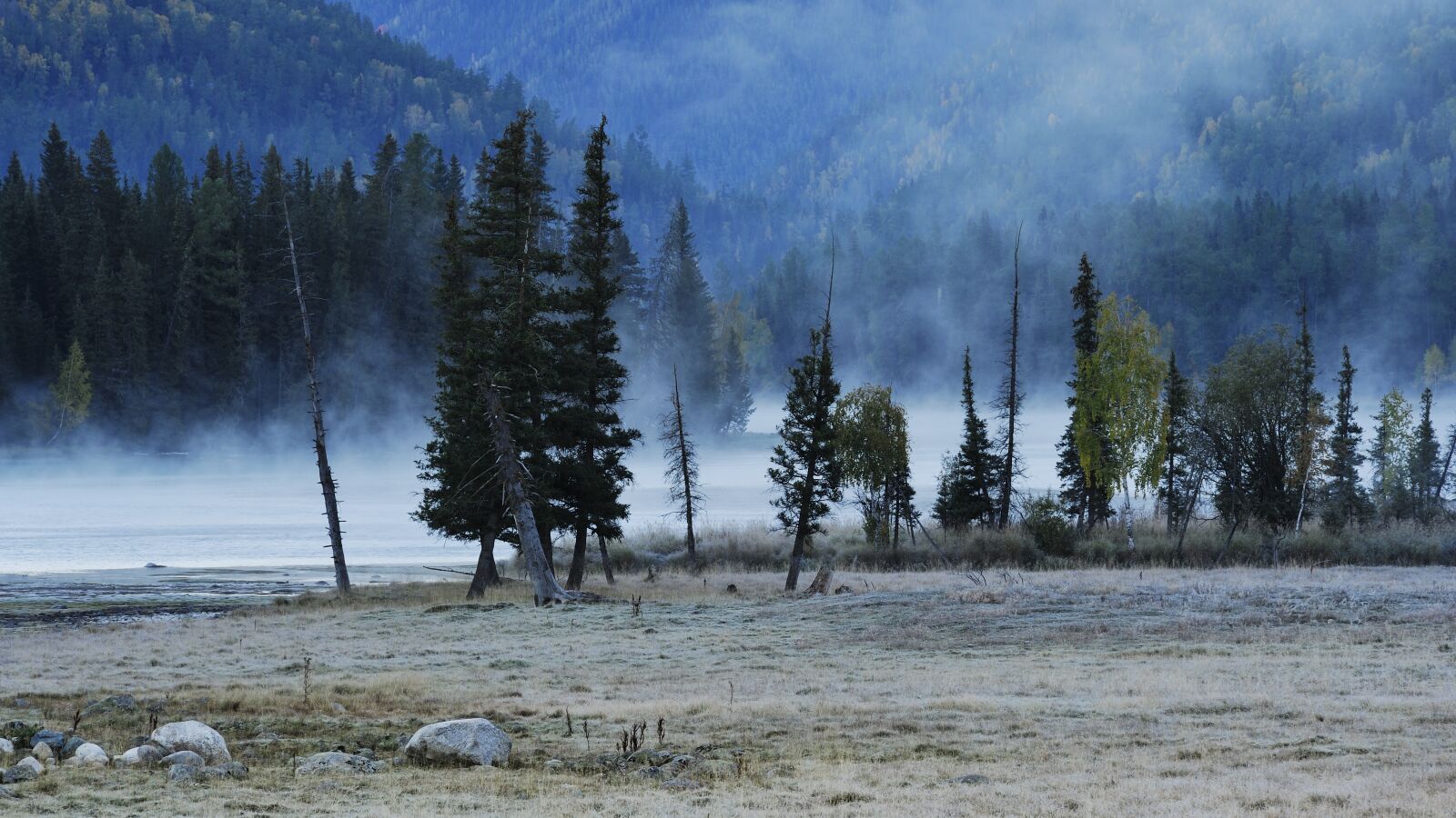 Nikon D700 sample photo. The scenery, kanas, morning photography