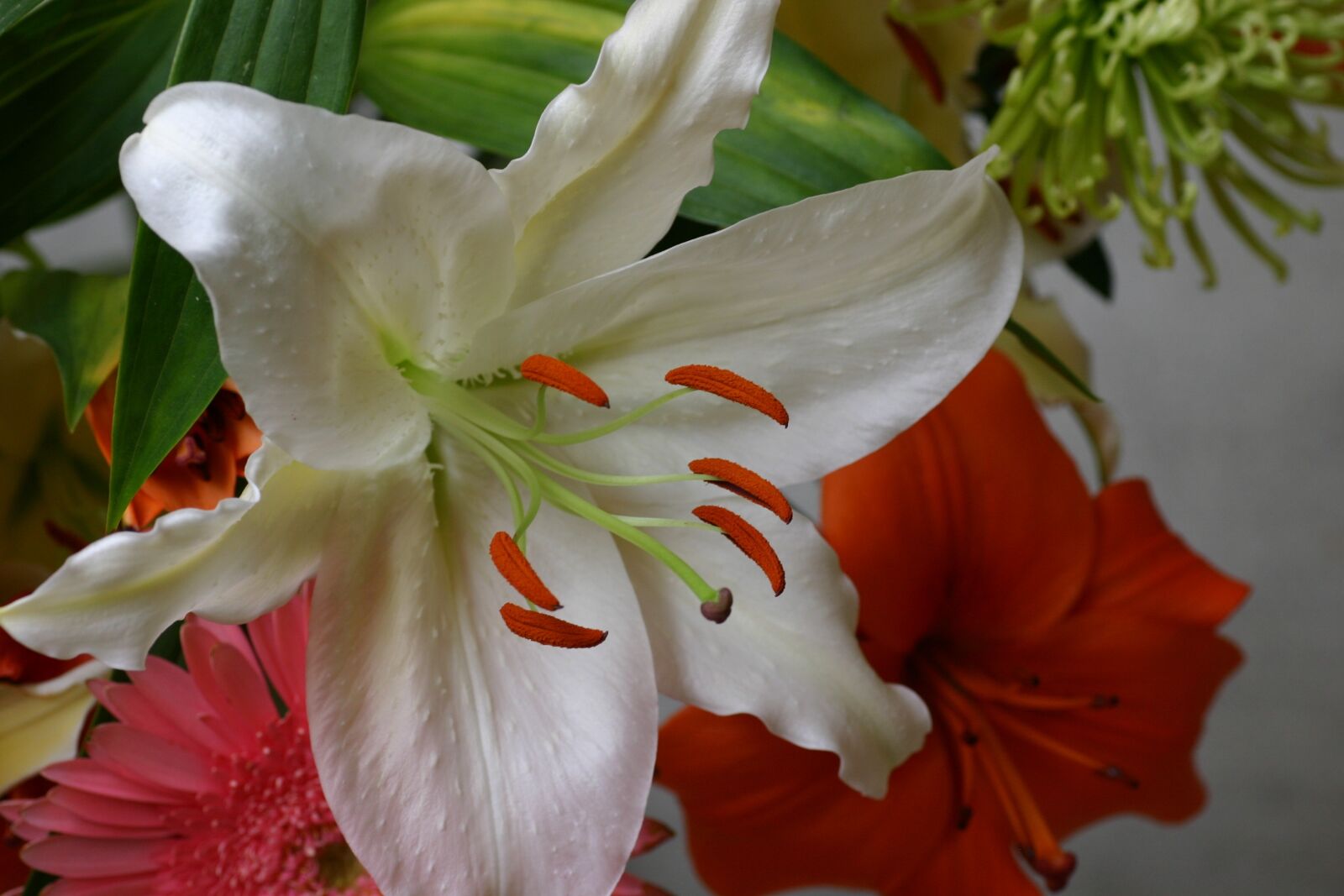 Canon EOS 300D (EOS Digital Rebel / EOS Kiss Digital) sample photo. Flowers, bouquet, close up photography