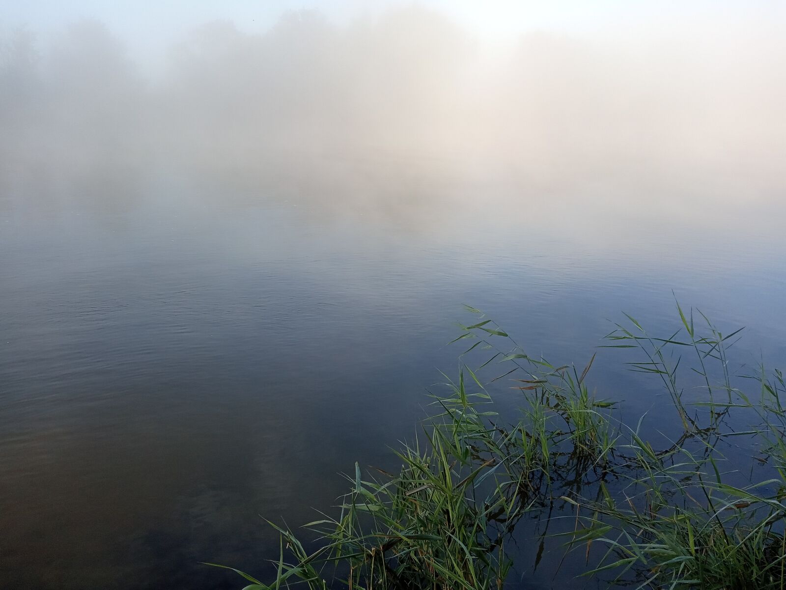 Xiaomi Redmi 6A sample photo. туман, река, природа photography