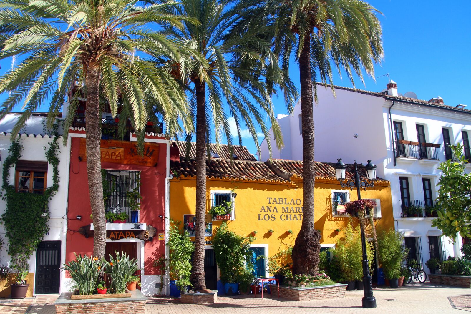 Canon EOS 700D (EOS Rebel T5i / EOS Kiss X7i) sample photo. Marbella, andalusia, spain photography
