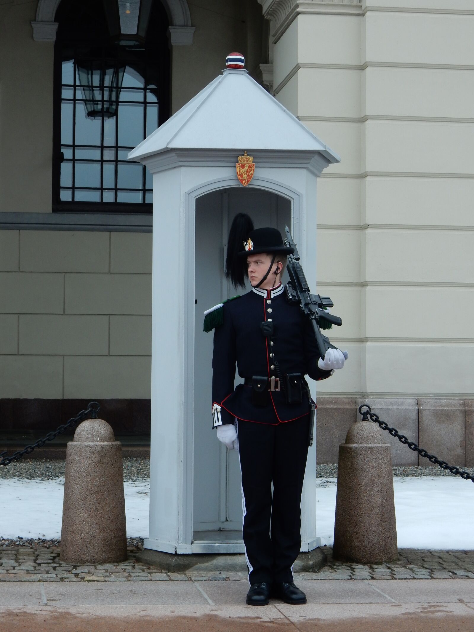 Nikon Coolpix S9900 sample photo. Oslo, norway, royal castle photography