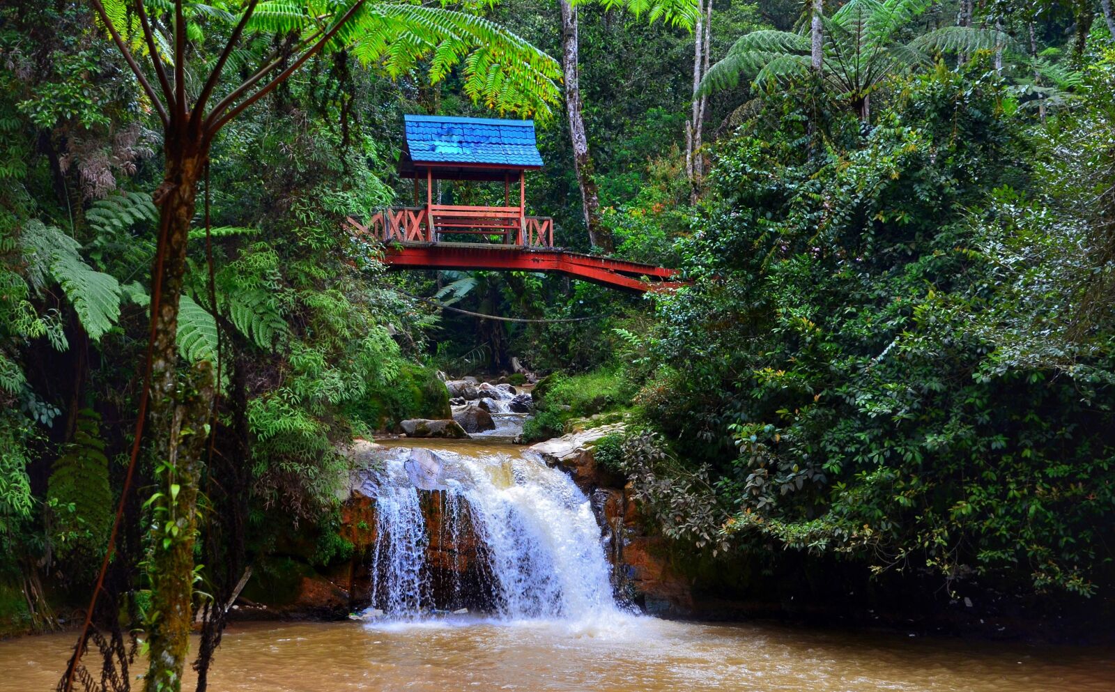 Nikon D5100 sample photo. Cameron, highlands, malaysia photography