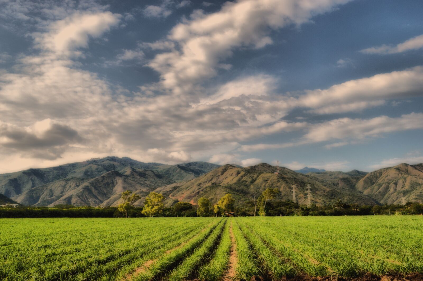 Nikon D3200 sample photo. Mountains, crops, cane photography