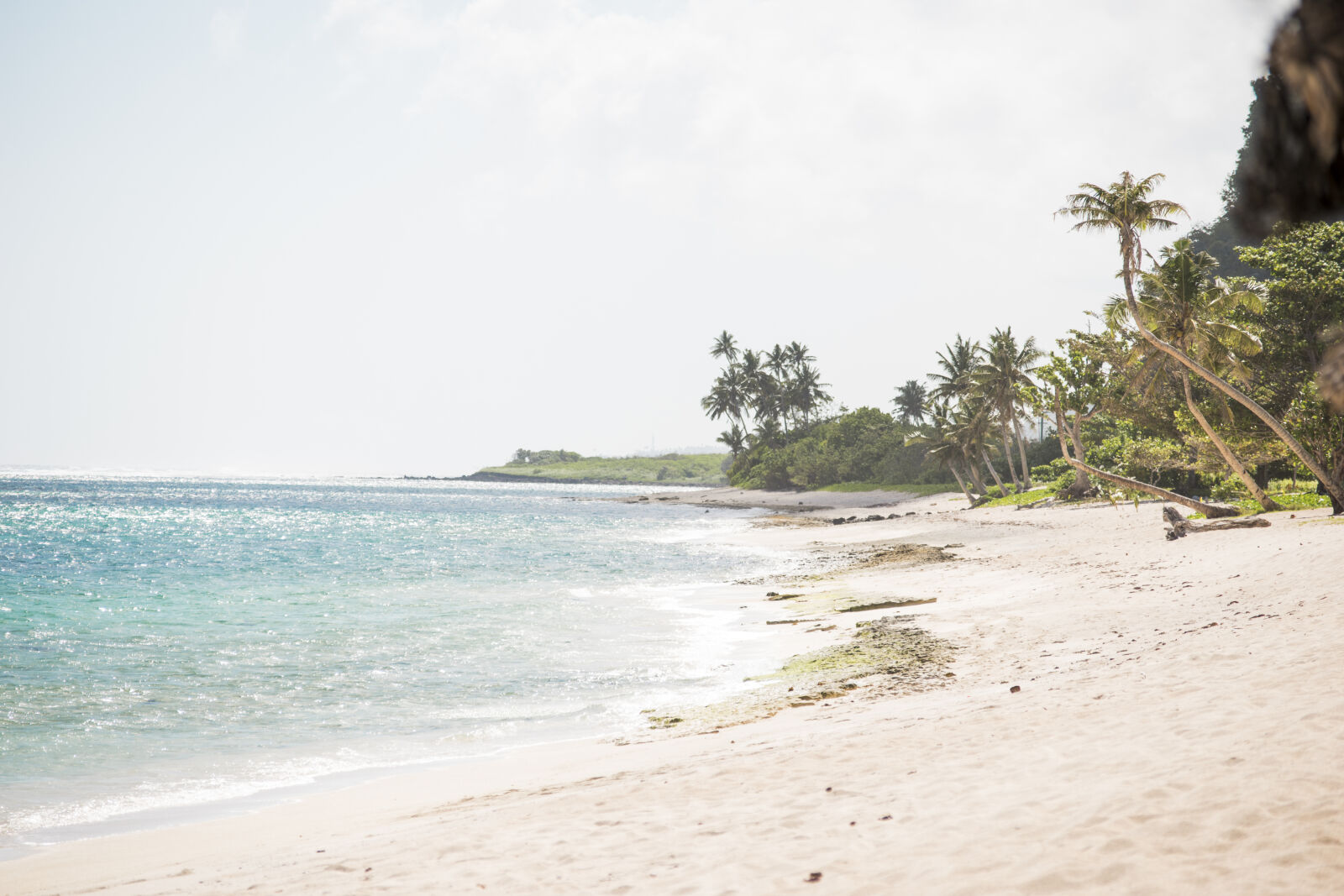 Nikon D5500 sample photo. Beach, lalomanu, samoa photography