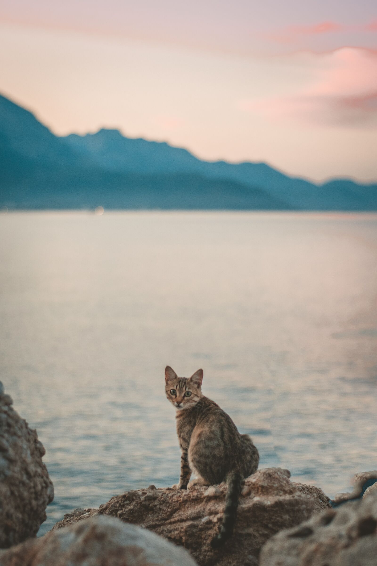 Nikon D5300 sample photo. Sea, vacation, water photography