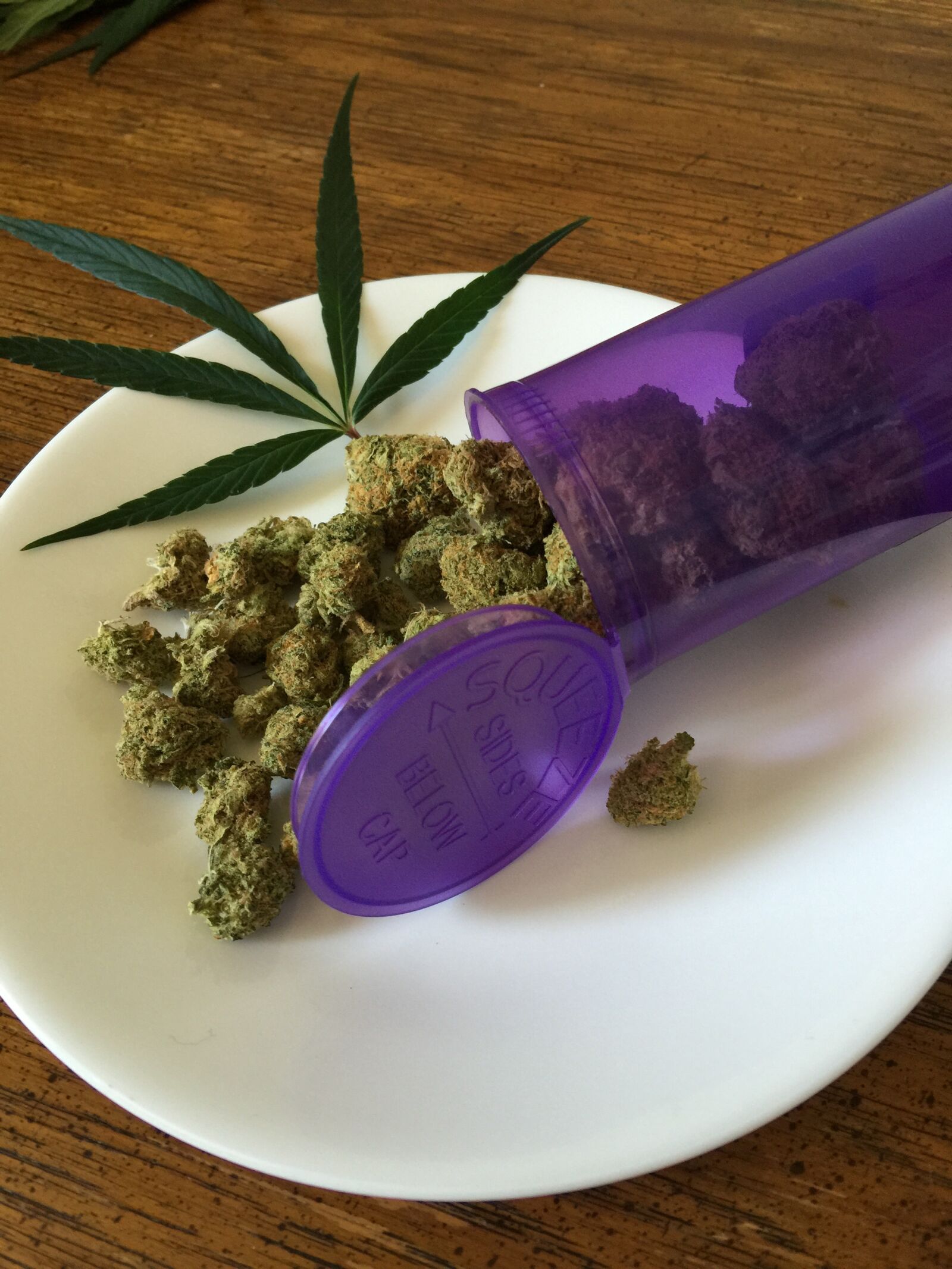 iPhone 6 Plus back camera 4.15mm f/2.2 sample photo. Cannabis, marijuana, weed photography