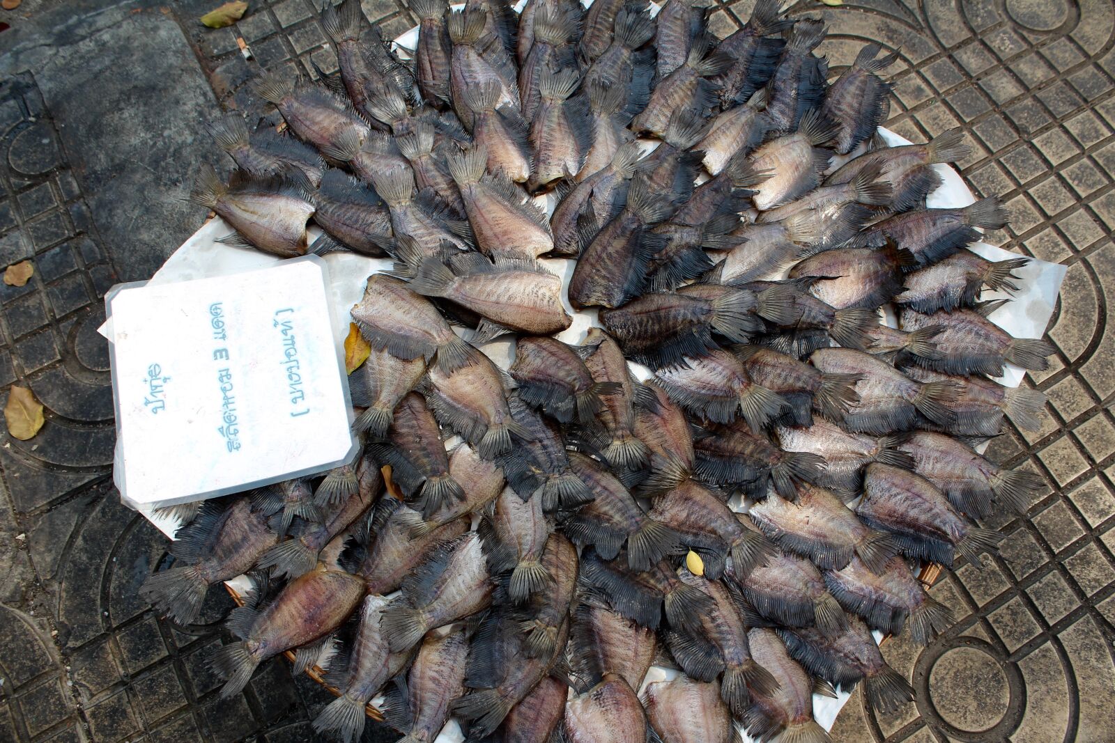 Canon EOS 600D (Rebel EOS T3i / EOS Kiss X5) sample photo. Fish, market, marketplace photography