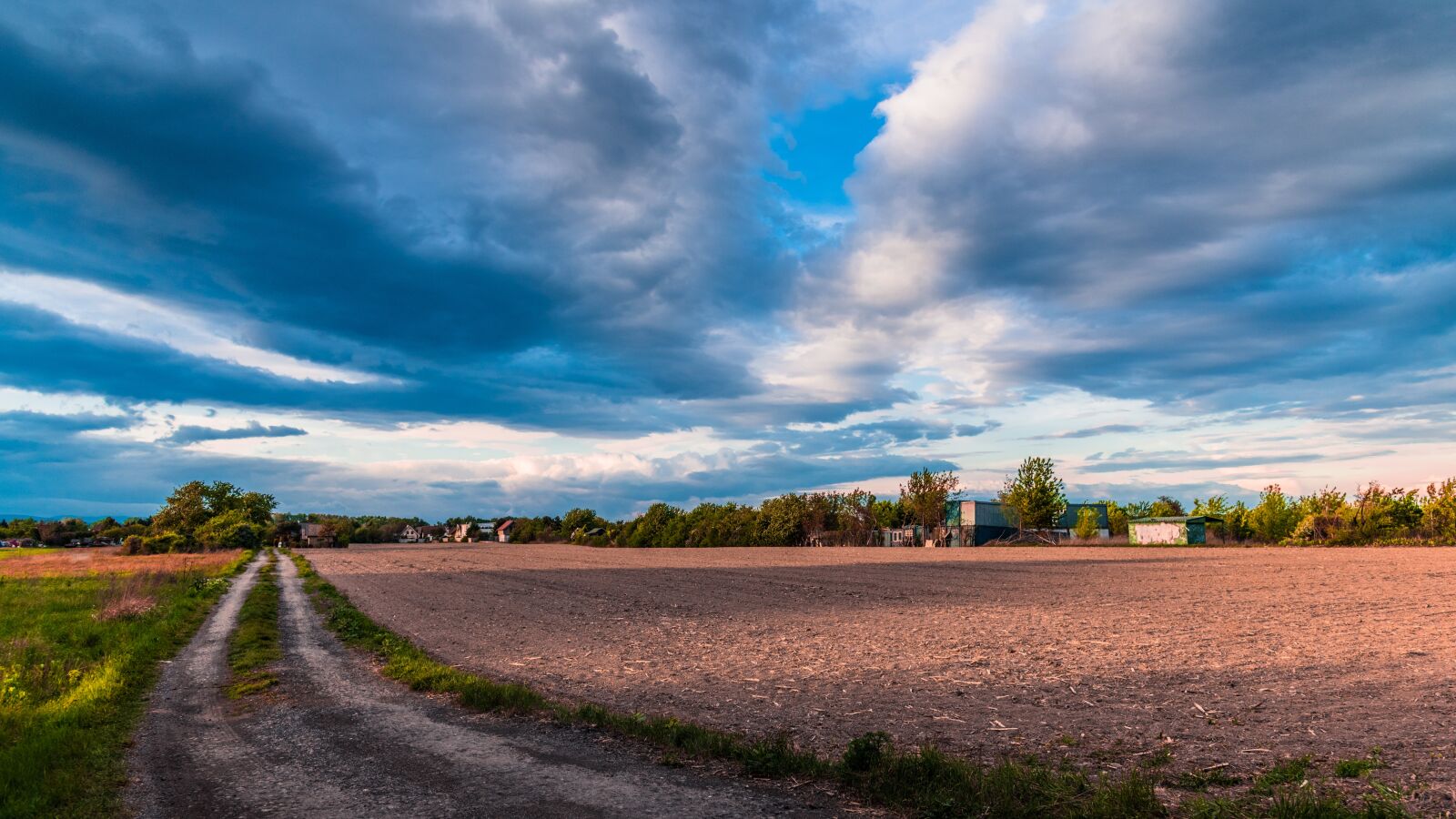 Nikon D850 sample photo. The sky, field, oranie photography