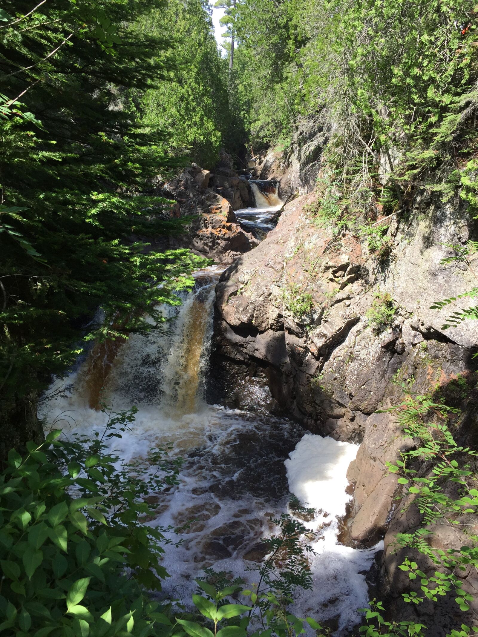 Apple iPhone 6 sample photo. Trees, waterfall, canyon photography
