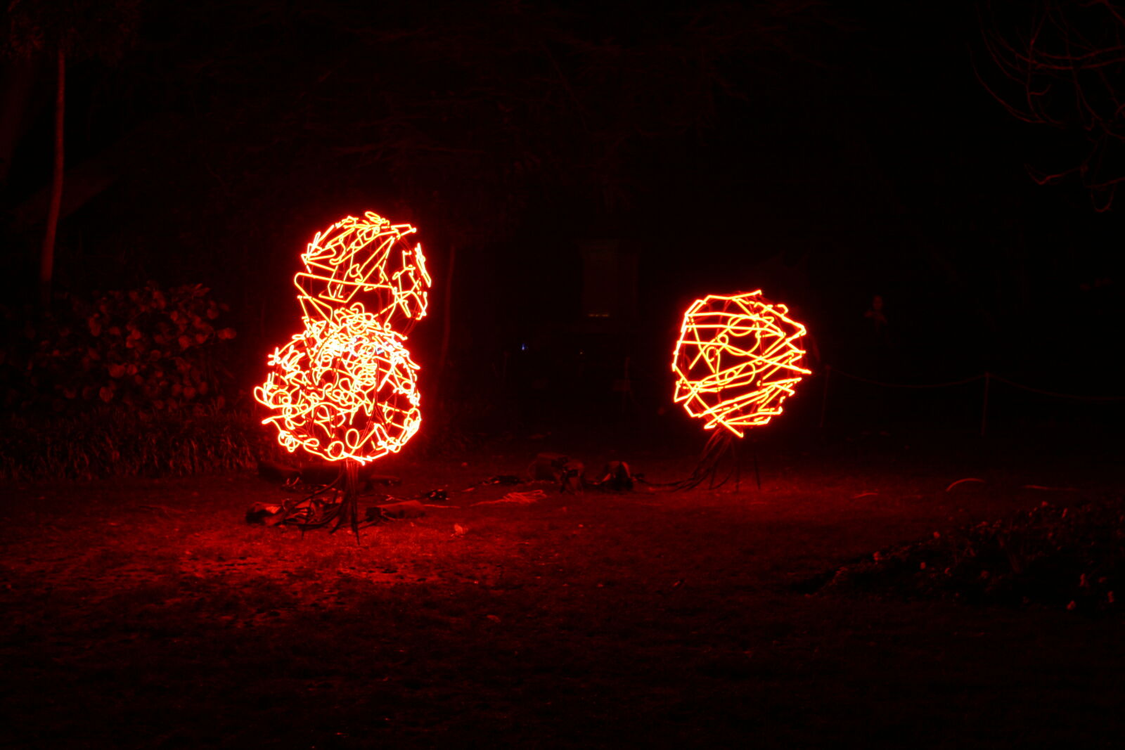 Canon EOS 20D sample photo. Ball, balls, balls, of photography