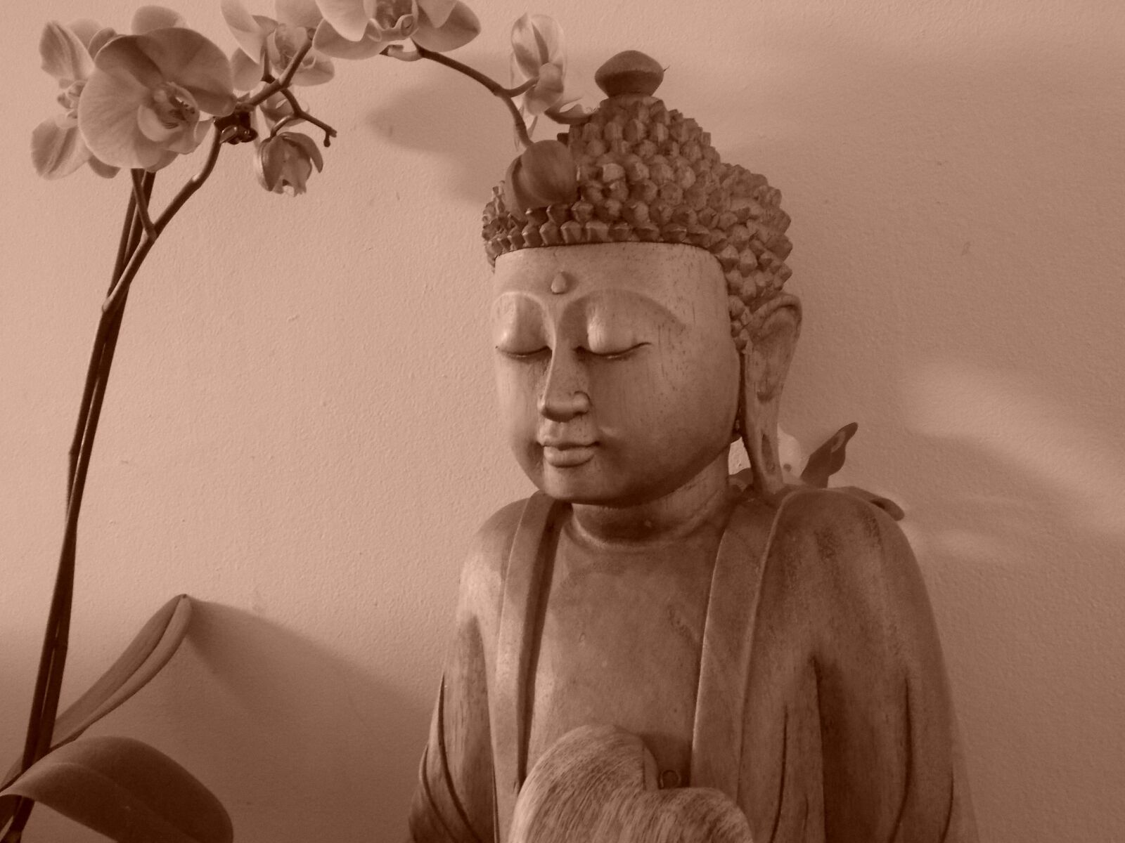 Nikon Coolpix L810 sample photo. Buddha, peace, tranquility photography