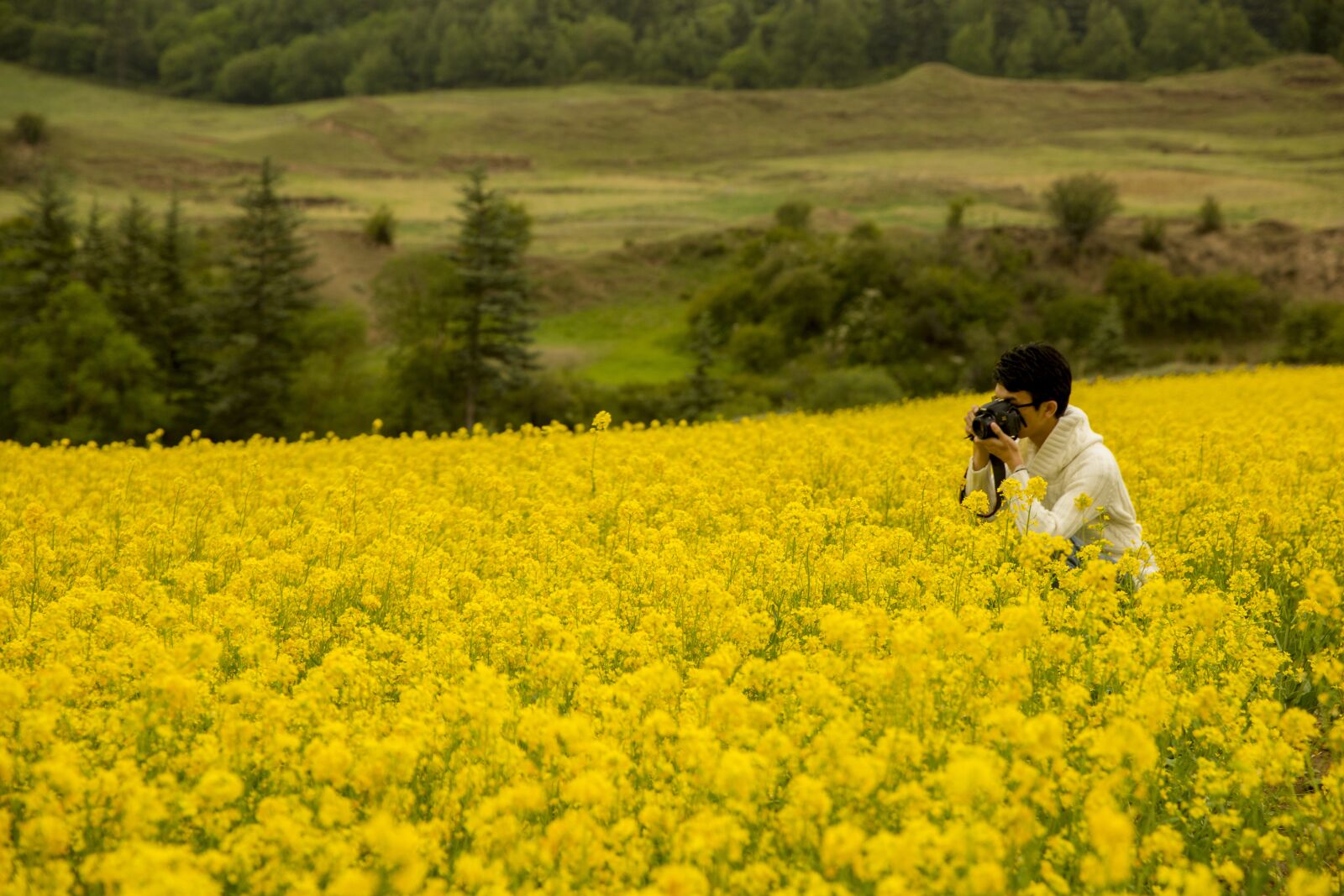 Canon EF 24-70mm F2.8L II USM sample photo. Qinghai, check card salt photography