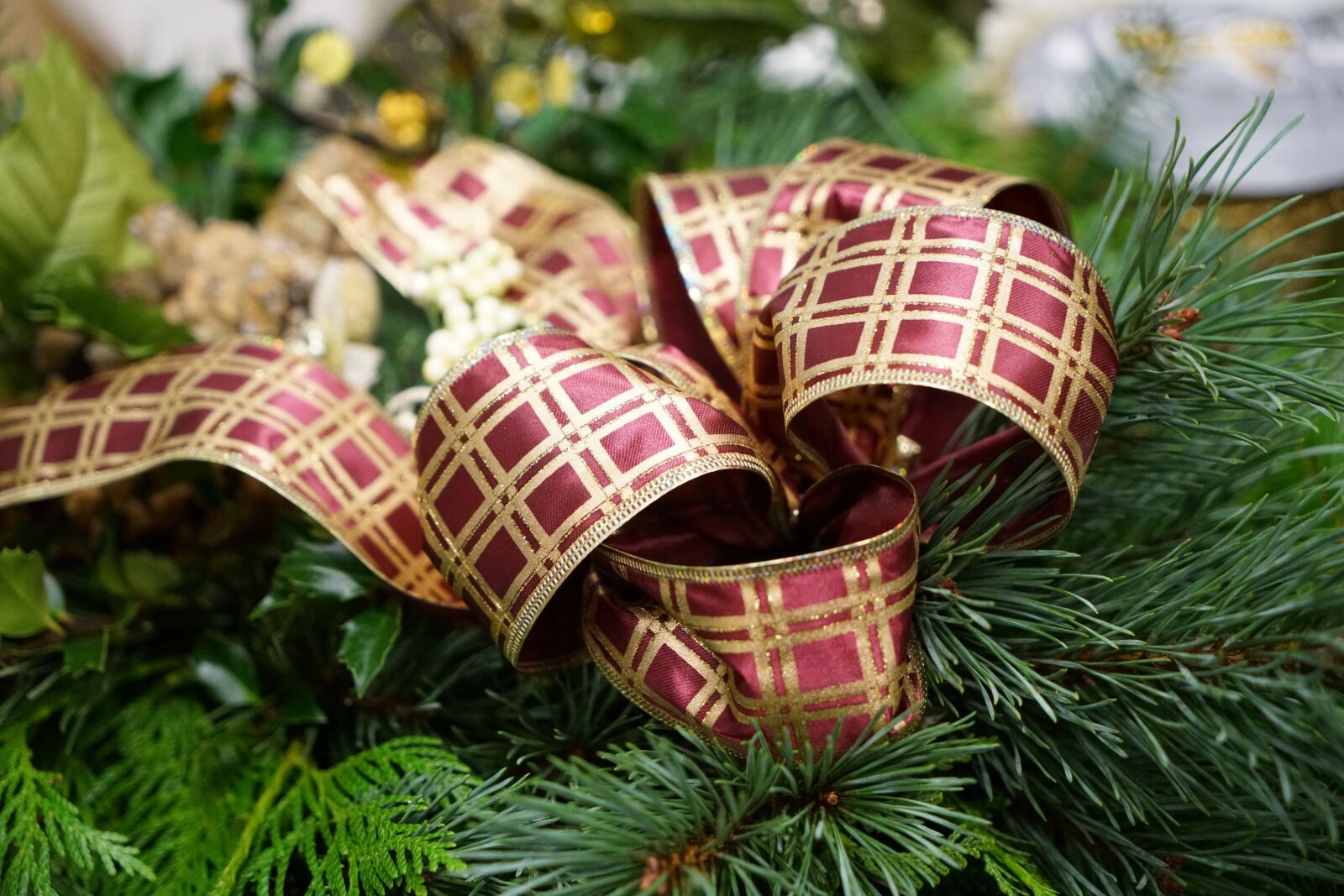 Sony a7R II + Sony Vario Tessar T* FE 24-70mm F4 ZA OSS sample photo. Christmas bow, evergreen, gold photography