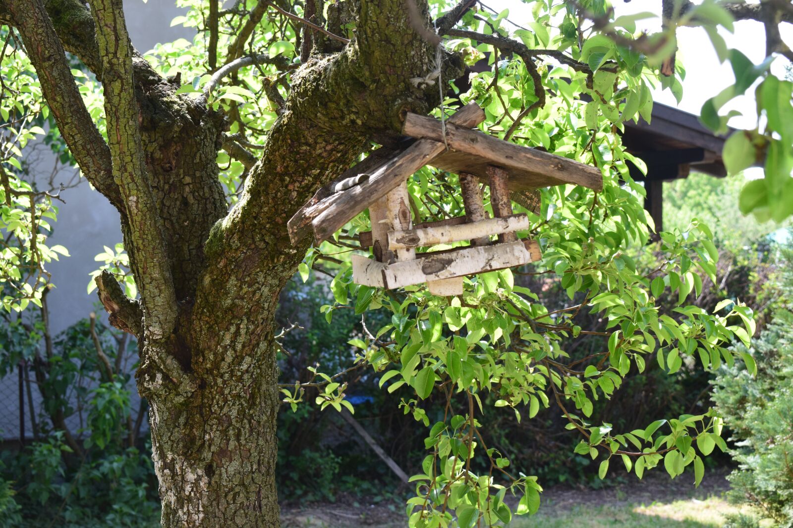 Nikon D5300 sample photo. Madáretető, tavasz, spring photography