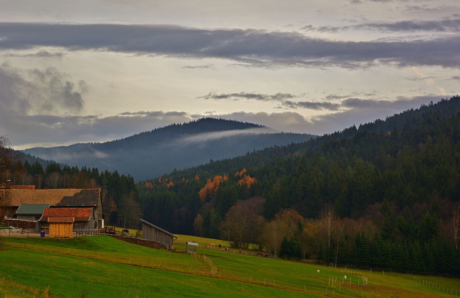 Nikon D5200 sample photo. Mountain landscape, autumn, fog photography
