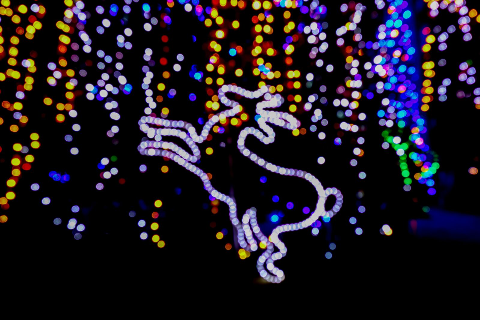 Canon EOS M50 (EOS Kiss M) sample photo. Unfocused, christmas lights, copy photography