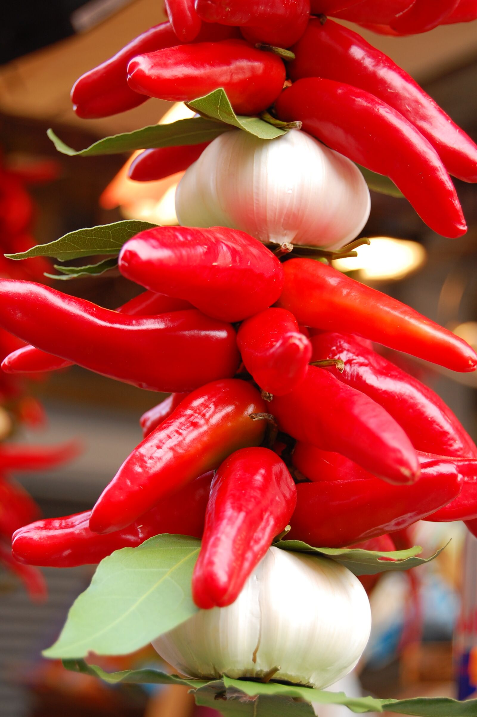 Nikon D40 sample photo. Peppers, garlic, vegetables photography