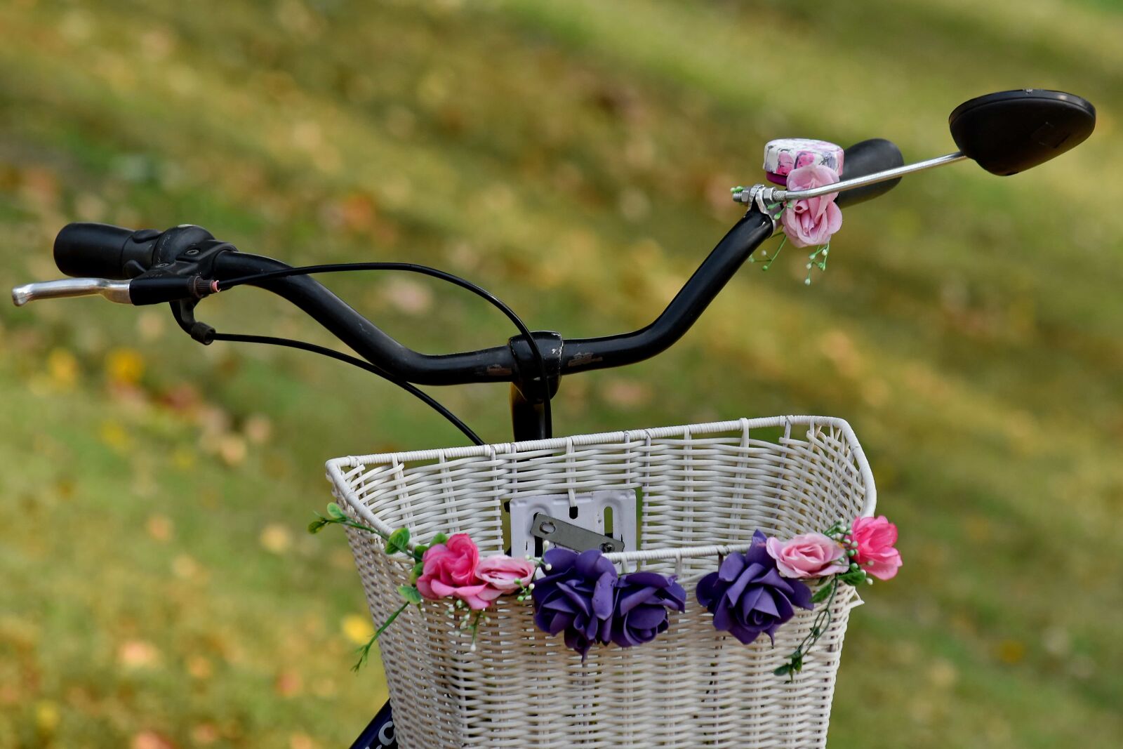Nikon D5500 sample photo. Bicycle, romantic, steering wheel photography