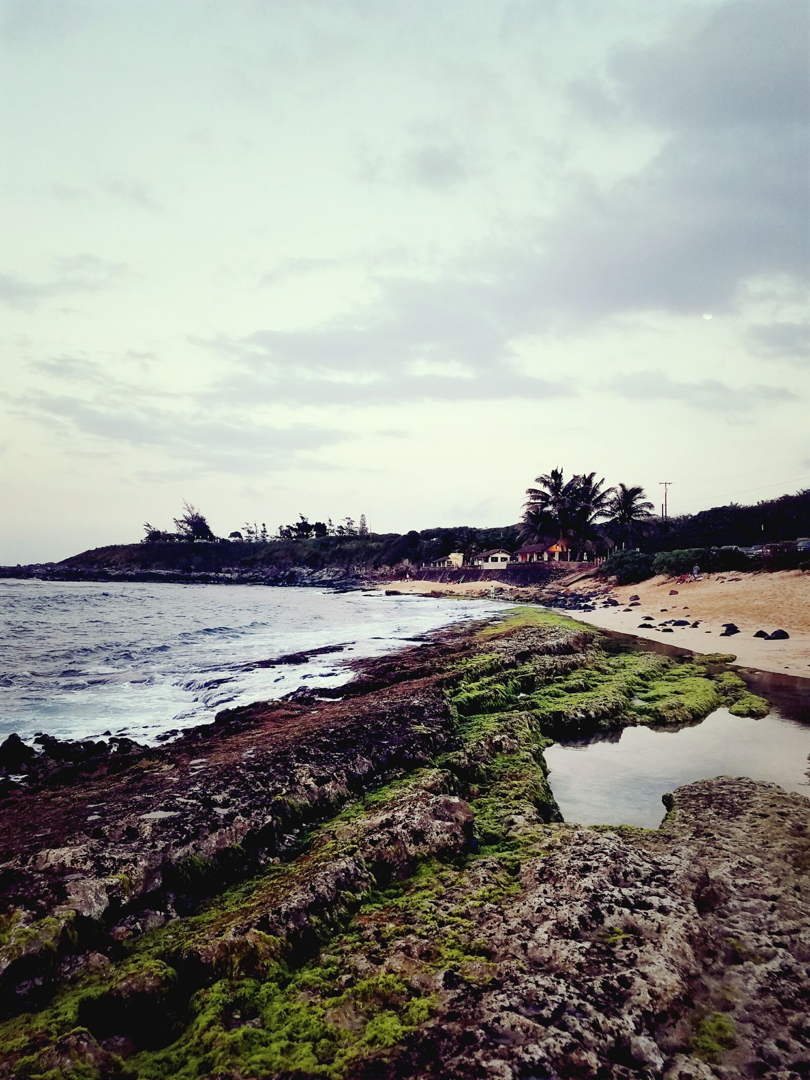 Samsung Galaxy S7 Edge sample photo. Algae, coast, line, hawaii photography