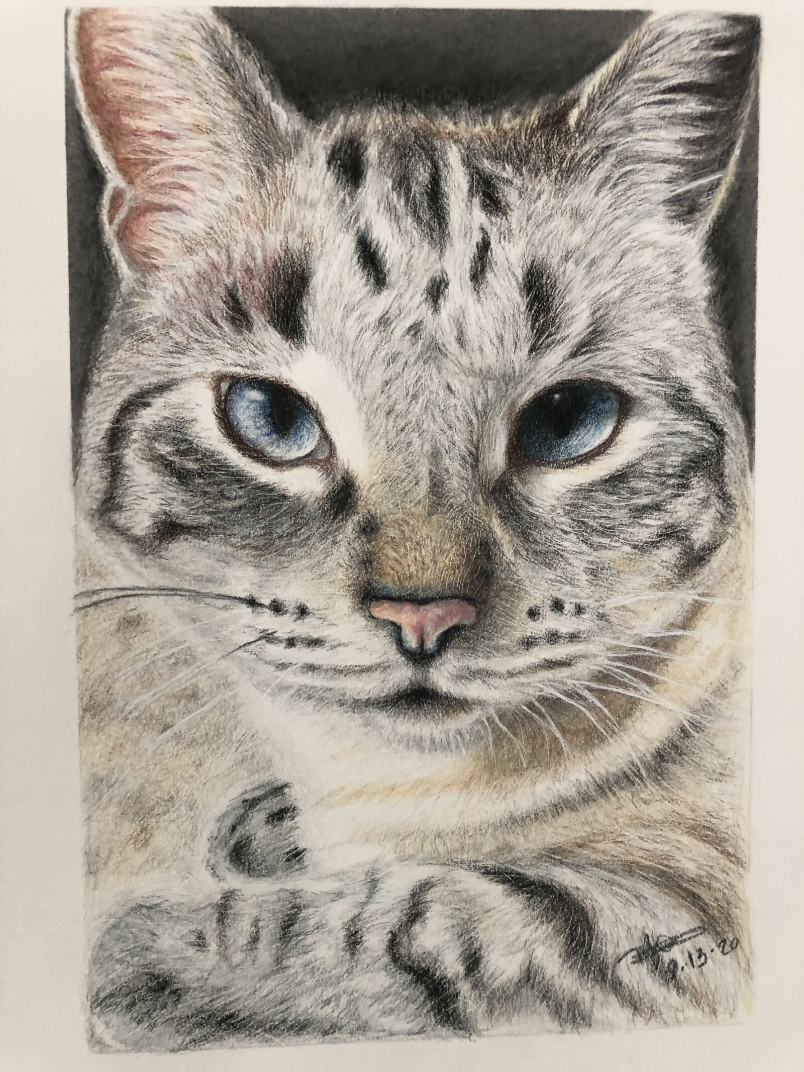 Apple iPhone X sample photo. Drawing, cat, portrait photography