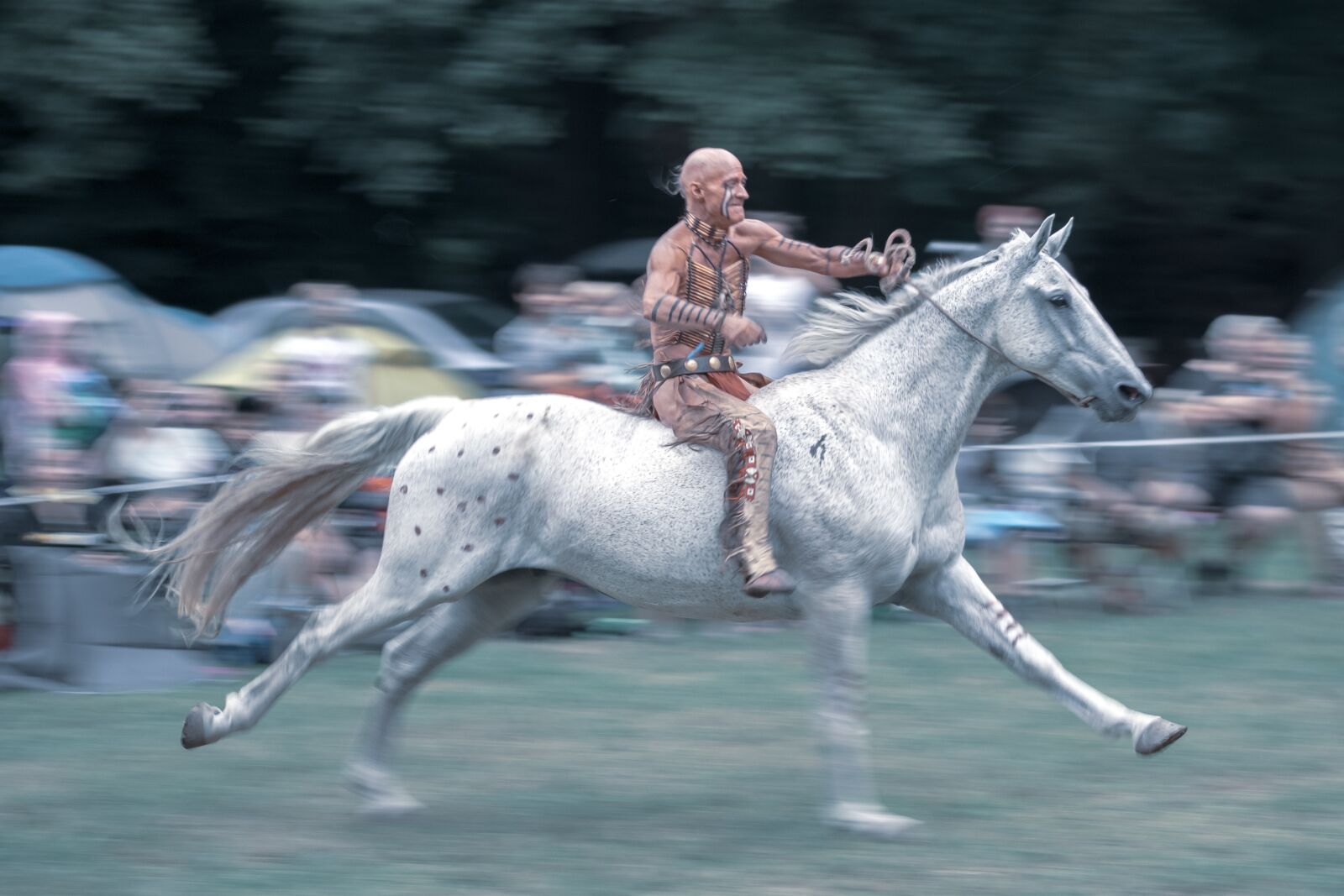 Nikon D7200 sample photo. Indian, horse, gallop photography