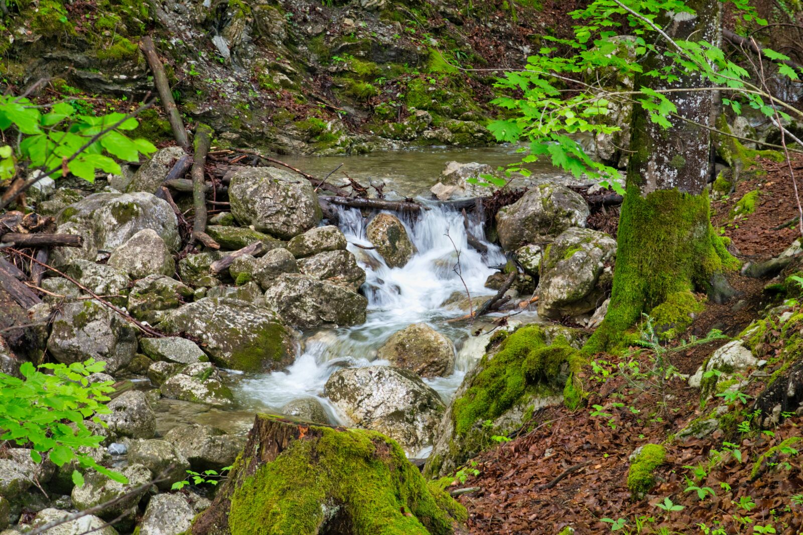 Nikon D7500 sample photo. Bach, torrent, nature photography