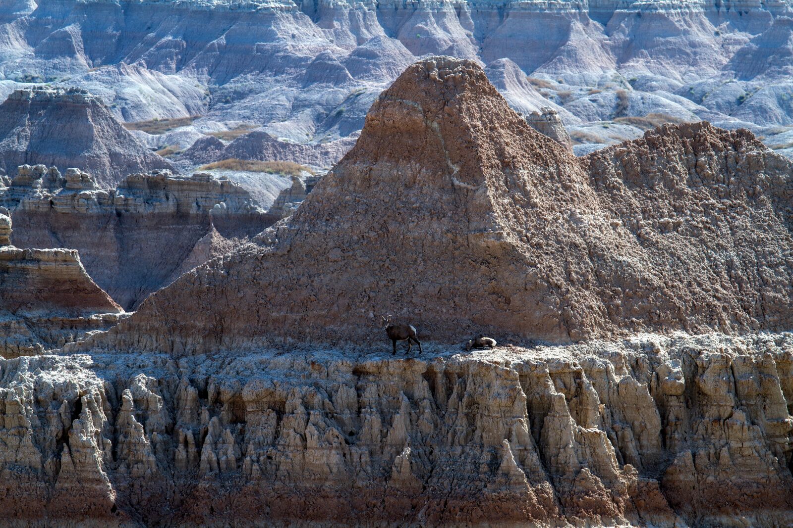 Canon EOS 7D sample photo. Badlands national park, south photography