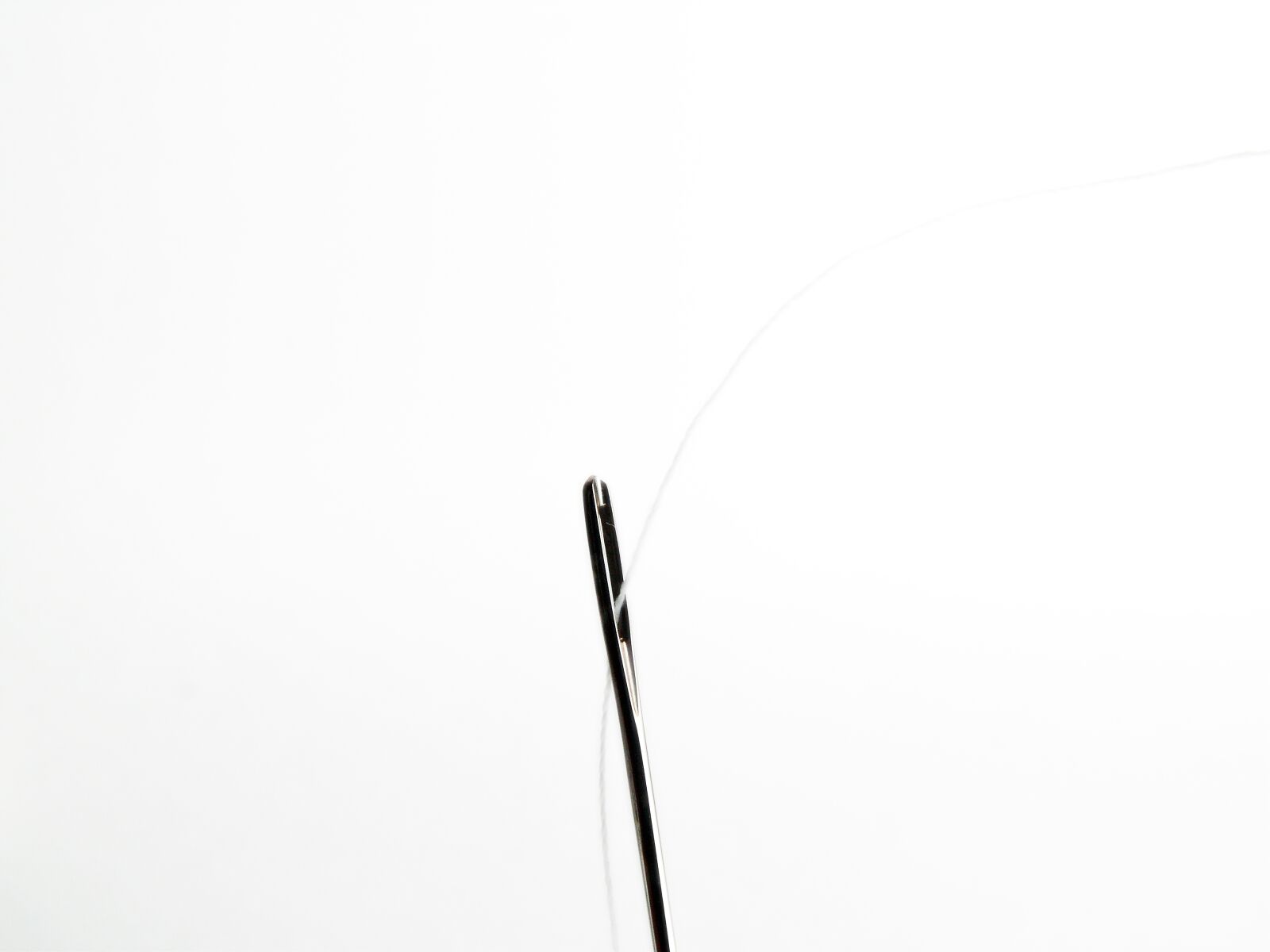 Leica V-LUX 1 sample photo. Needle, thread, needle and photography