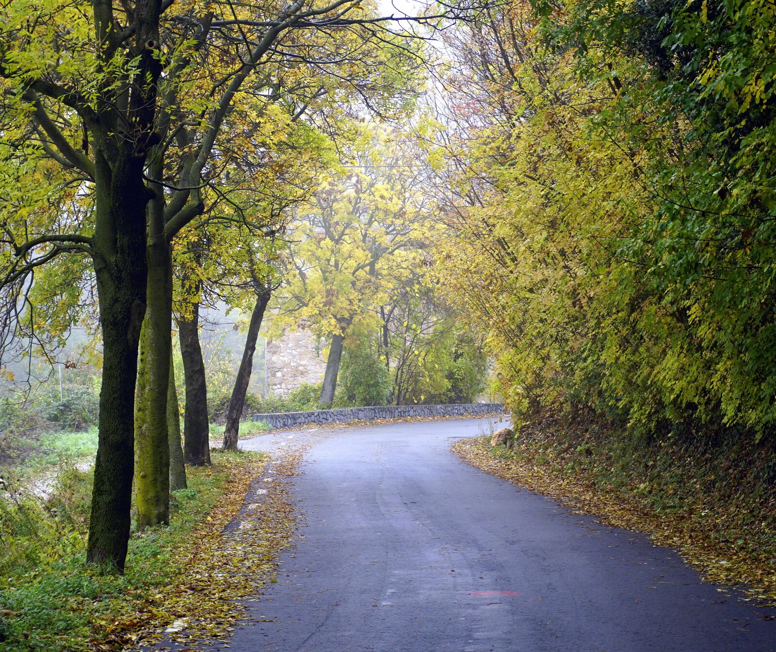 Sony a6000 sample photo. Path, autumn, mountain road photography