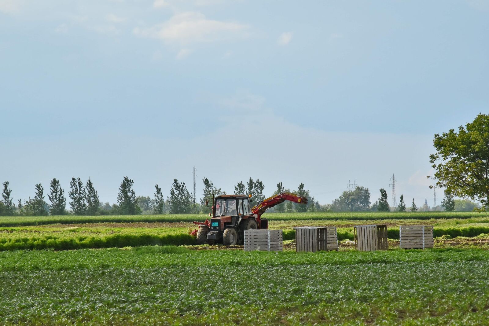 Nikon D5500 sample photo. Farmland, tractor, harvester, machine photography