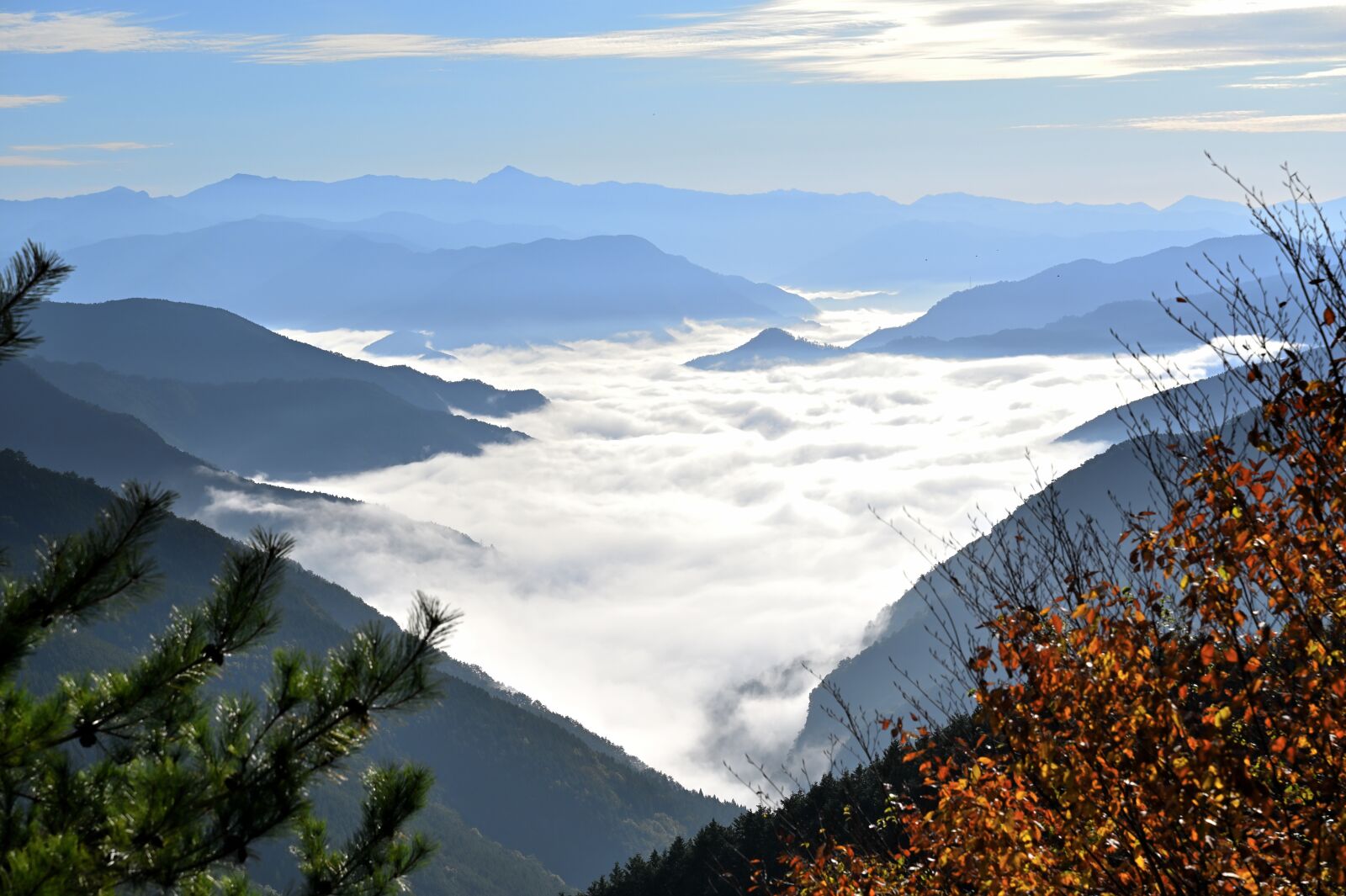 Nikon Nikkor Z 24-70mm F2.8 S sample photo. Sea of clouds, mountain photography